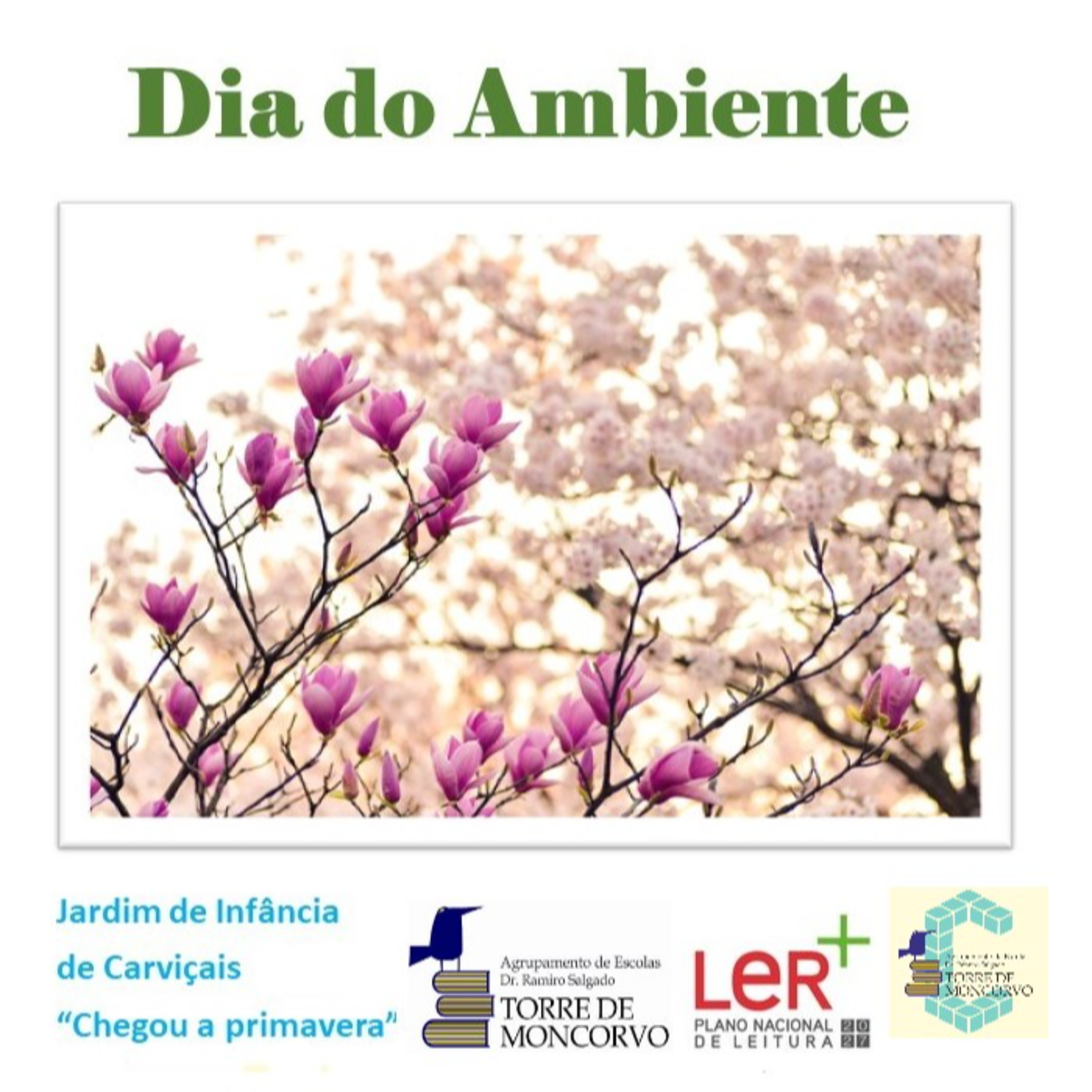 Leituras