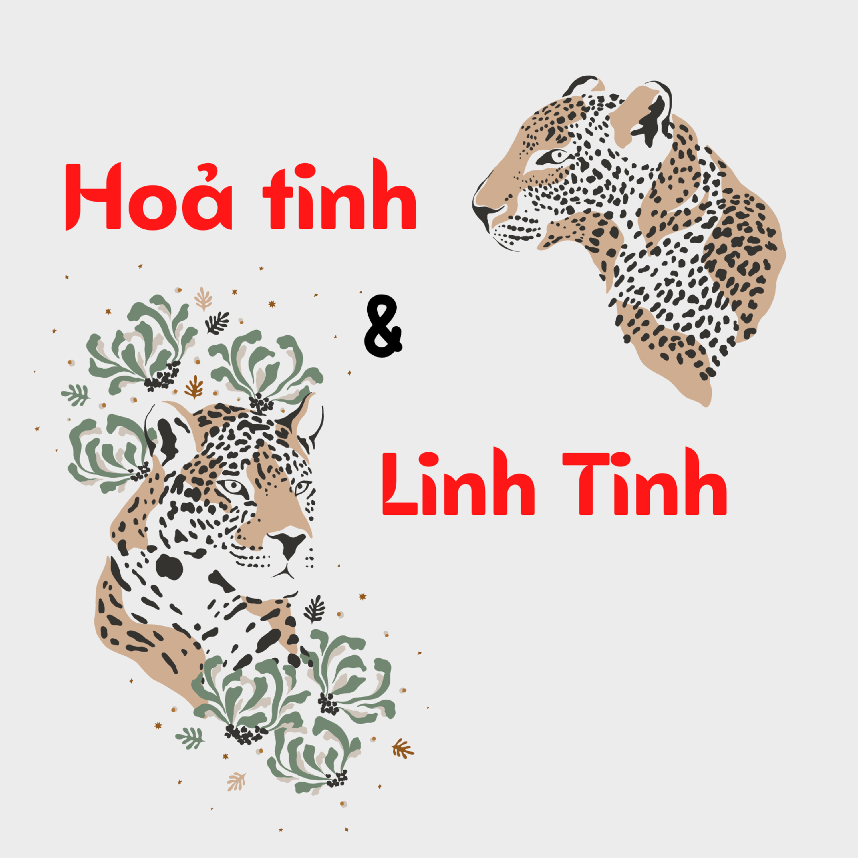 Mục 6| Chương 2 - Hoả Tinh - Linh Tinh| Tử Vi| Vương Đình Chi đàm tinh episode artwork
