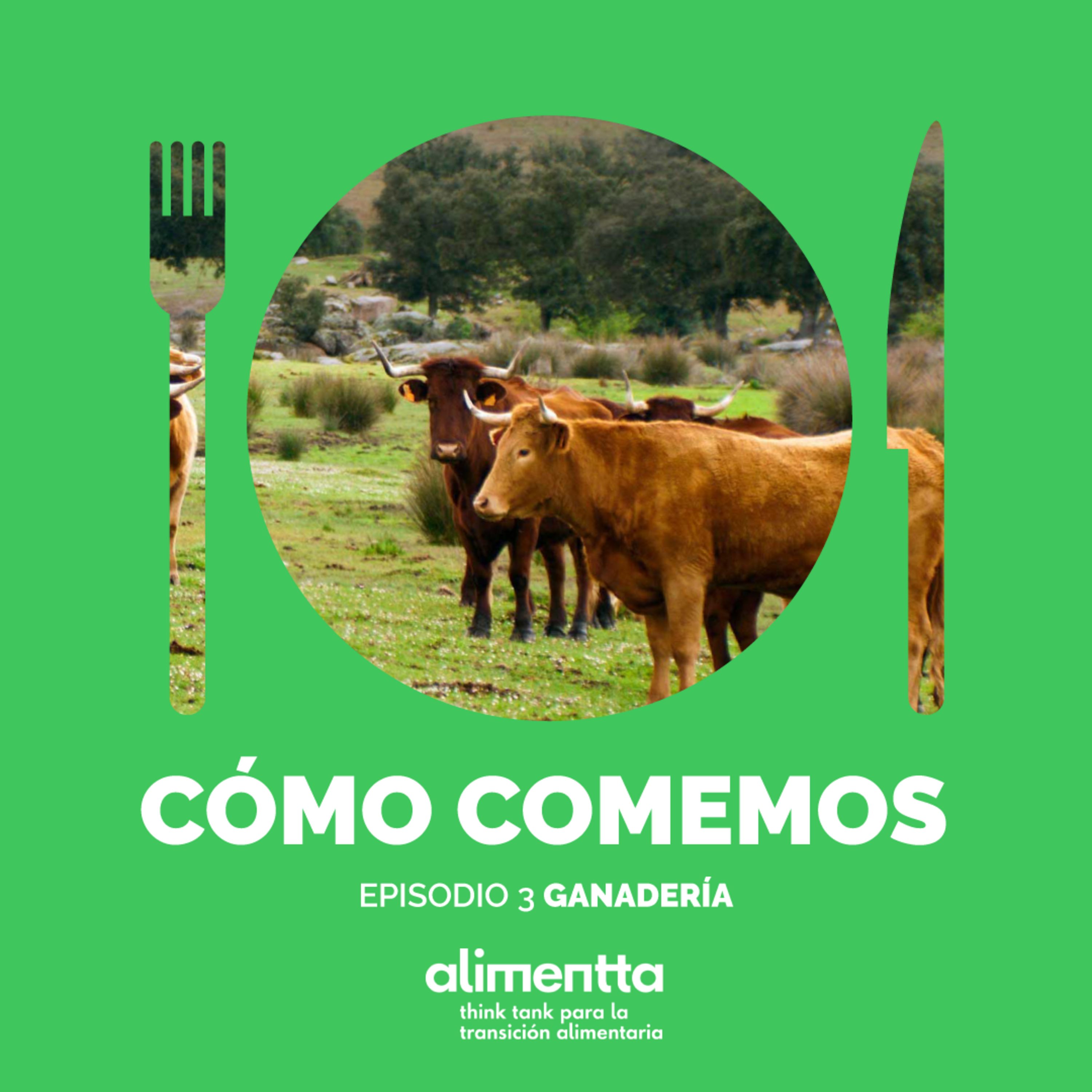 Portada de Alimentta - ¿CÓMO COMEMOS?