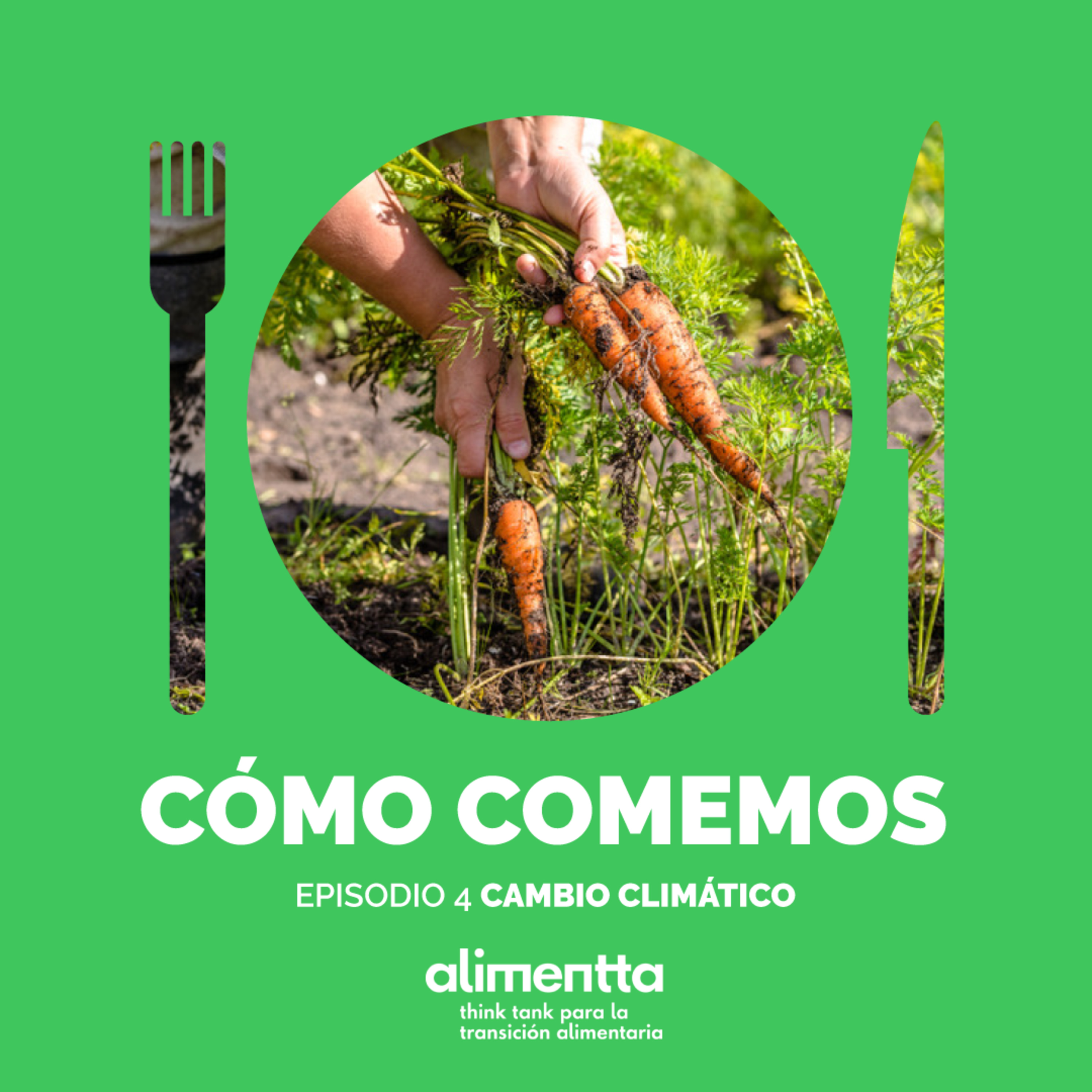 Portada de Alimentta - ¿CÓMO COMEMOS?