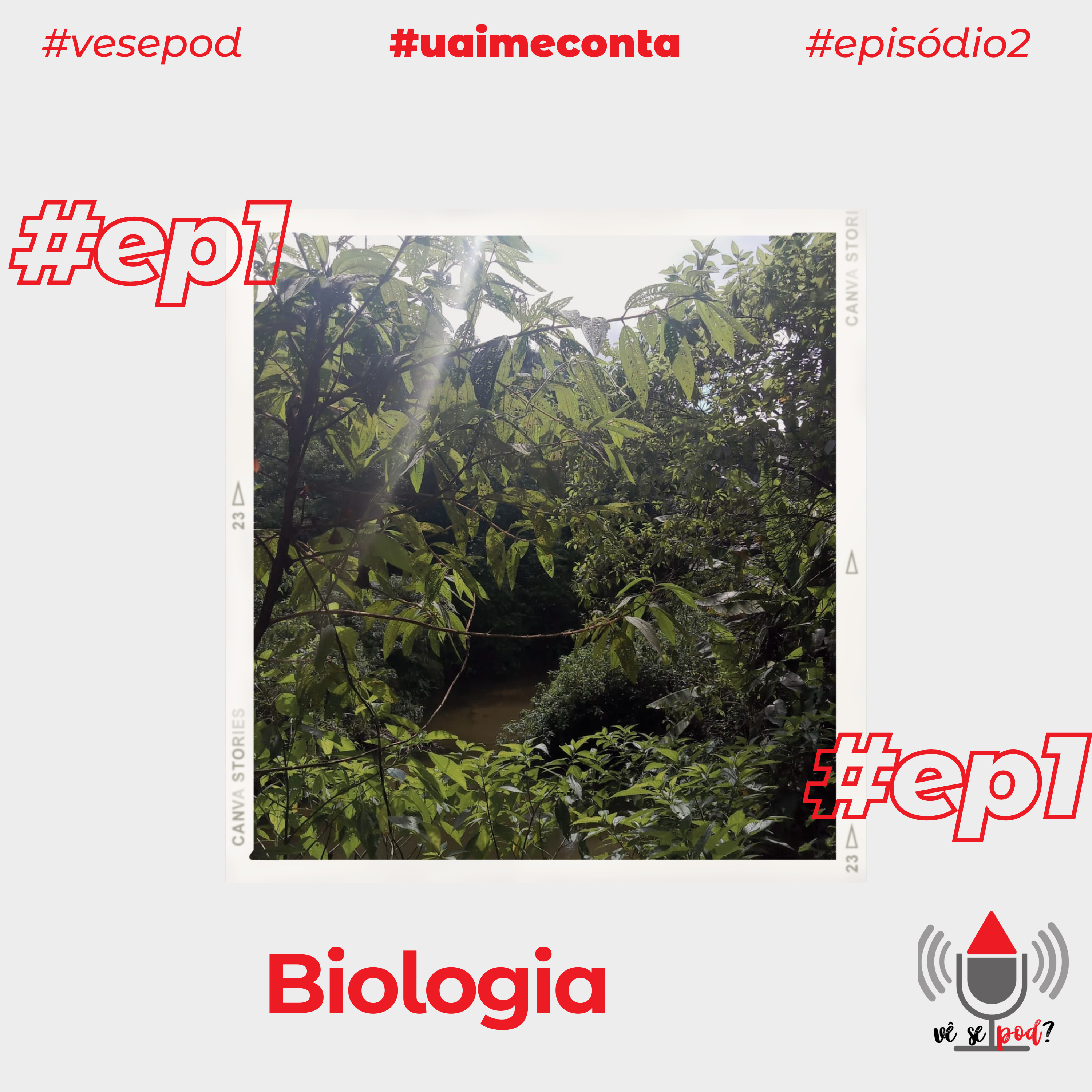 Vê se POD