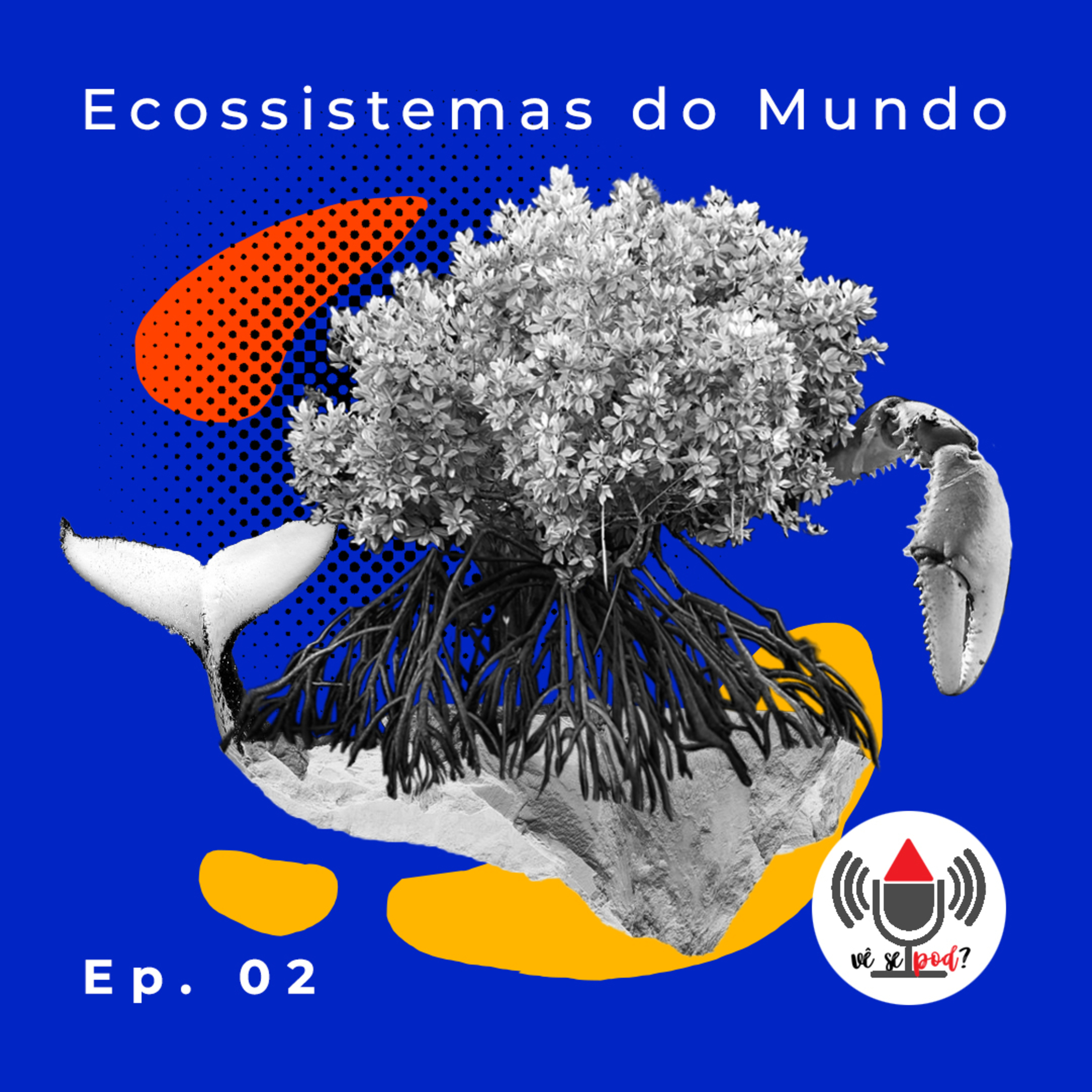 Vê se POD