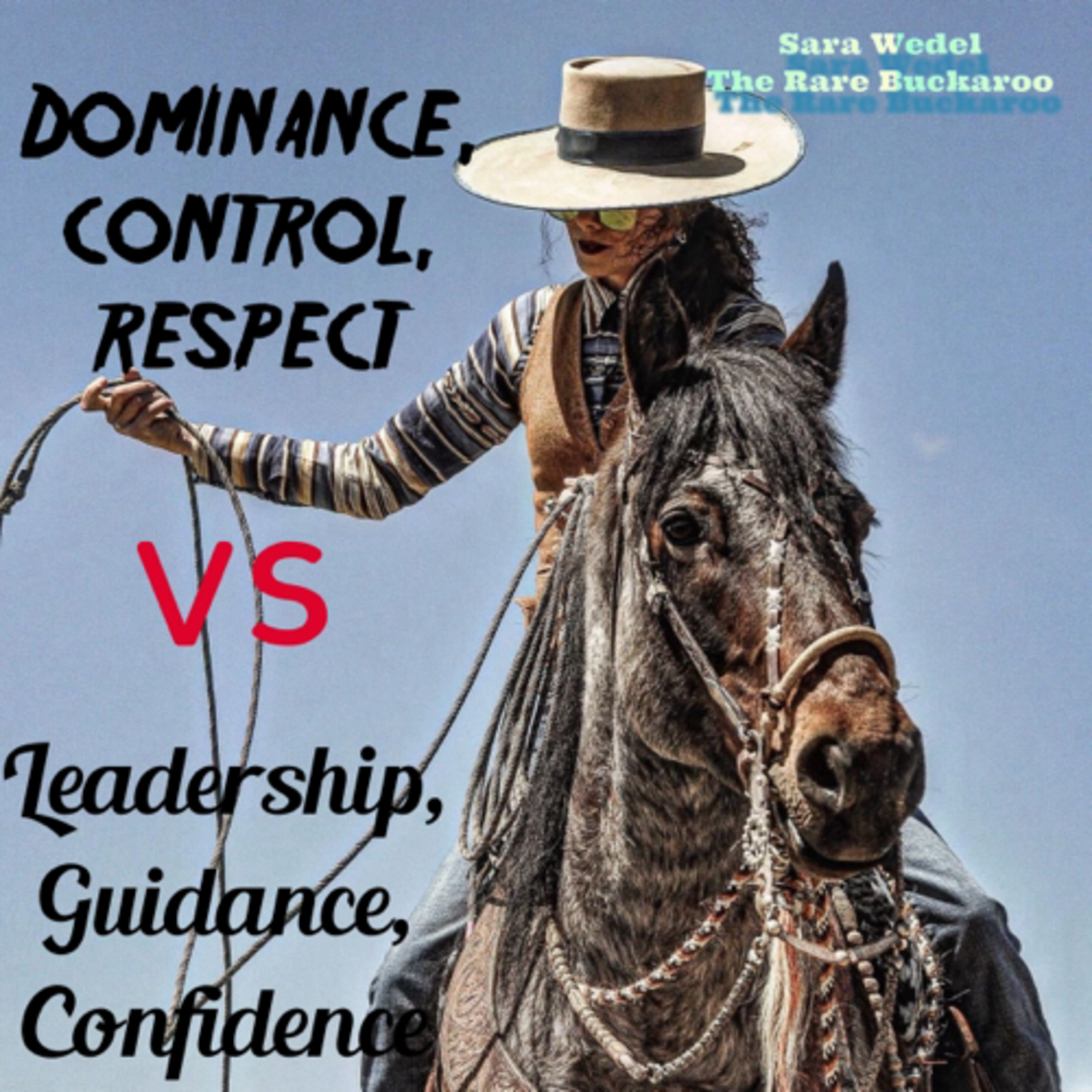 Horse/handler relationships. Dominance, control, respect VS leader, guidance, confidence.  episode artwork