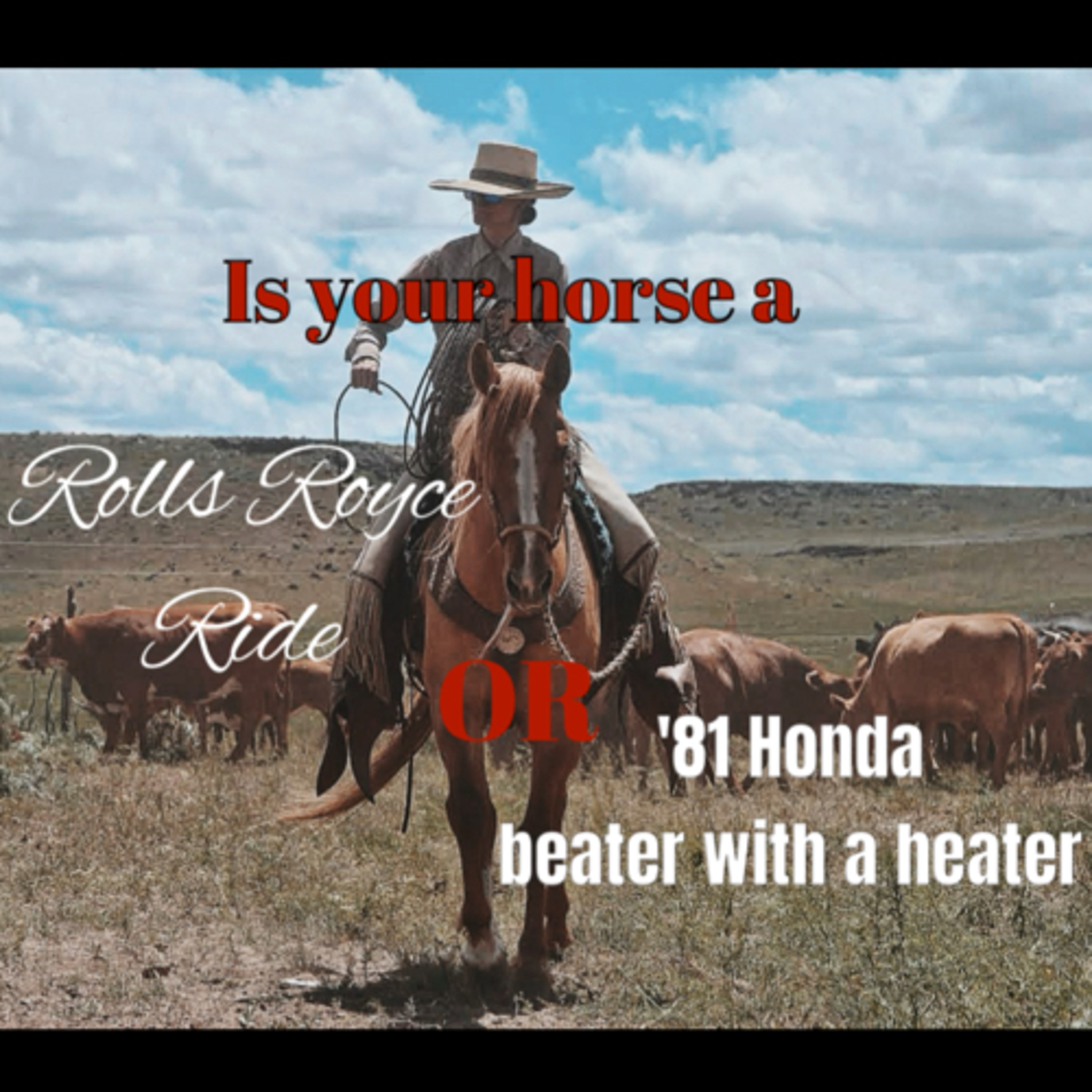 Is your horse a Rolls Royce Ride or a ‘81 Honda Beater with a heater?  episode artwork