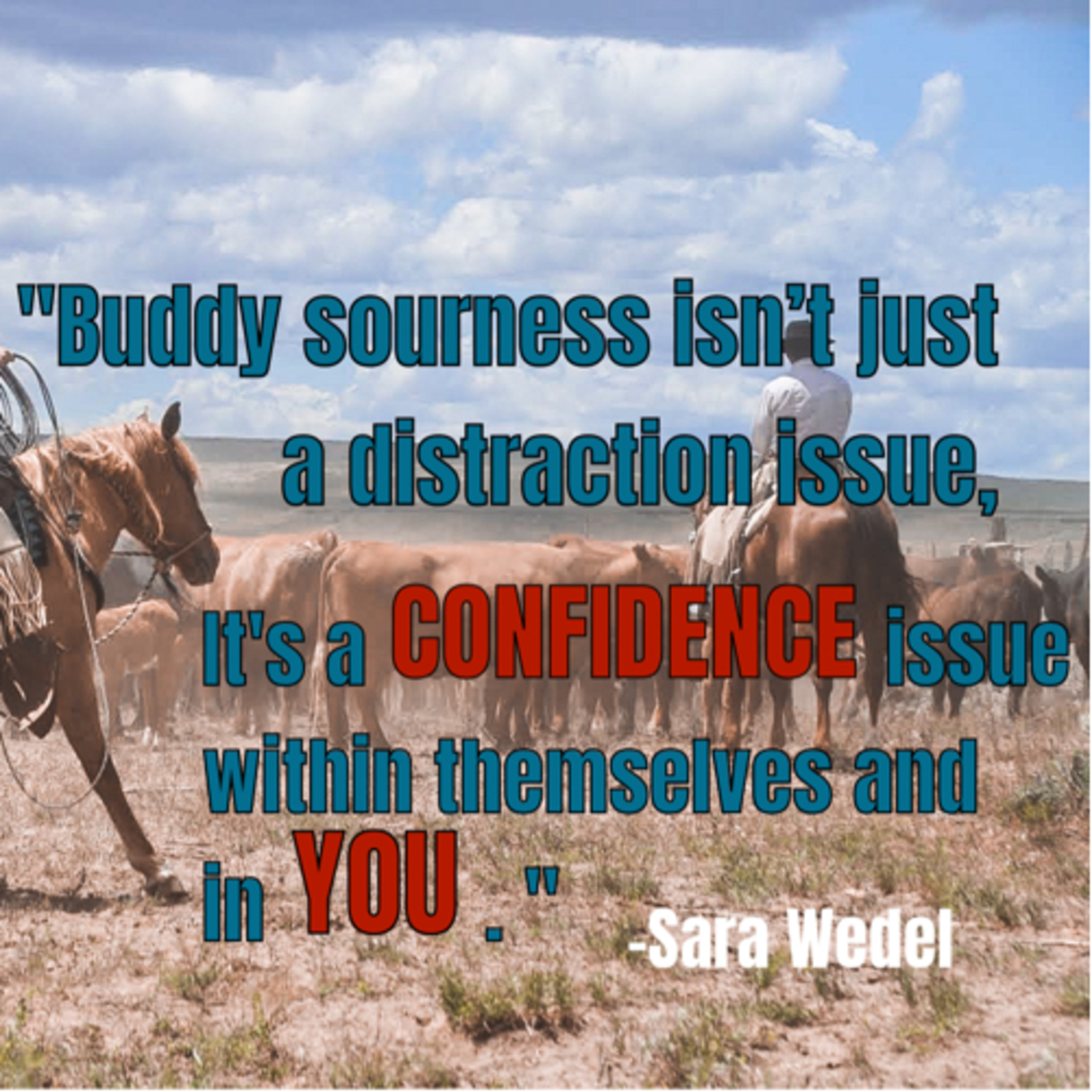 Buddy sour horses and how to fix them.  episode artwork