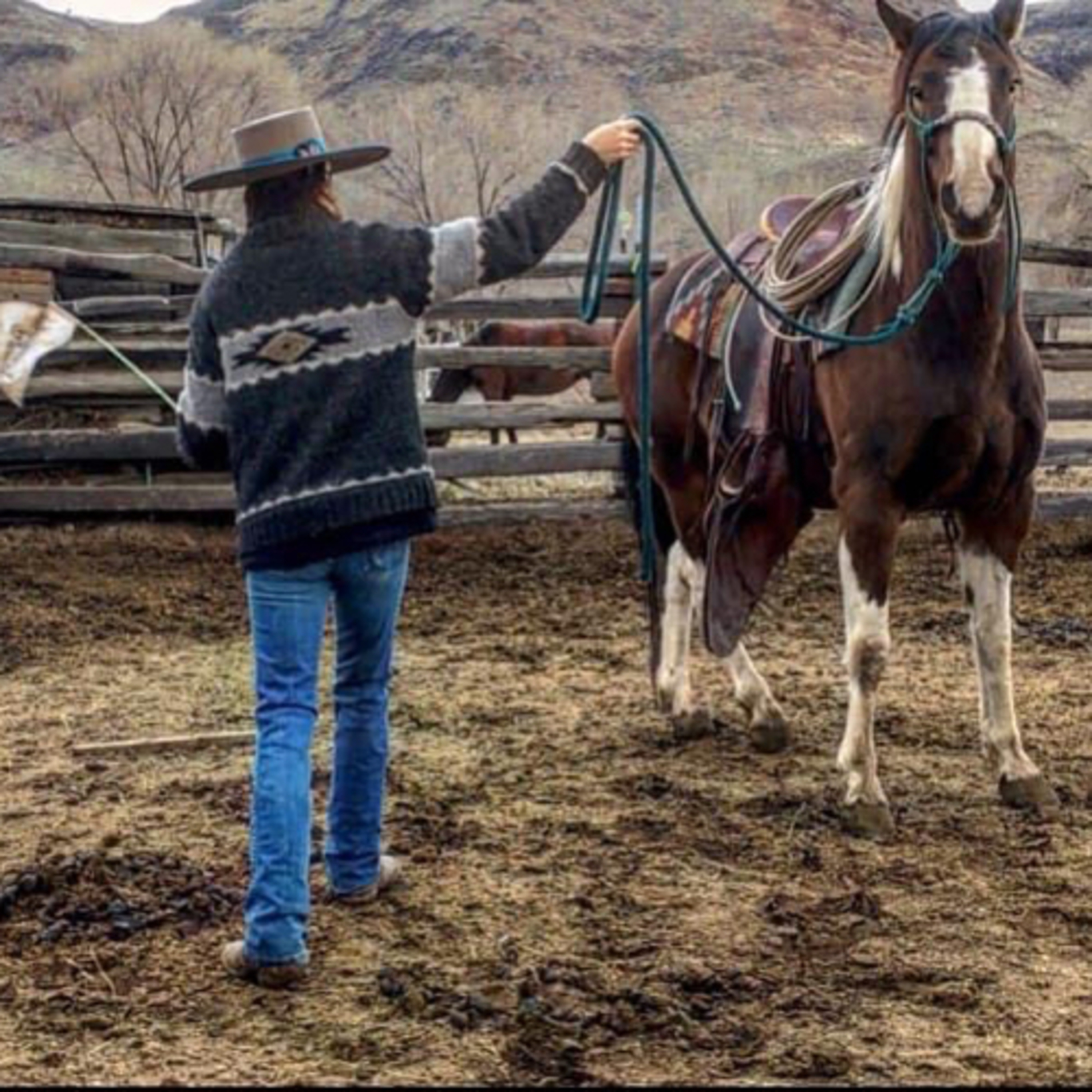Americas Epidemic: Horsemanship Deficiency episode artwork
