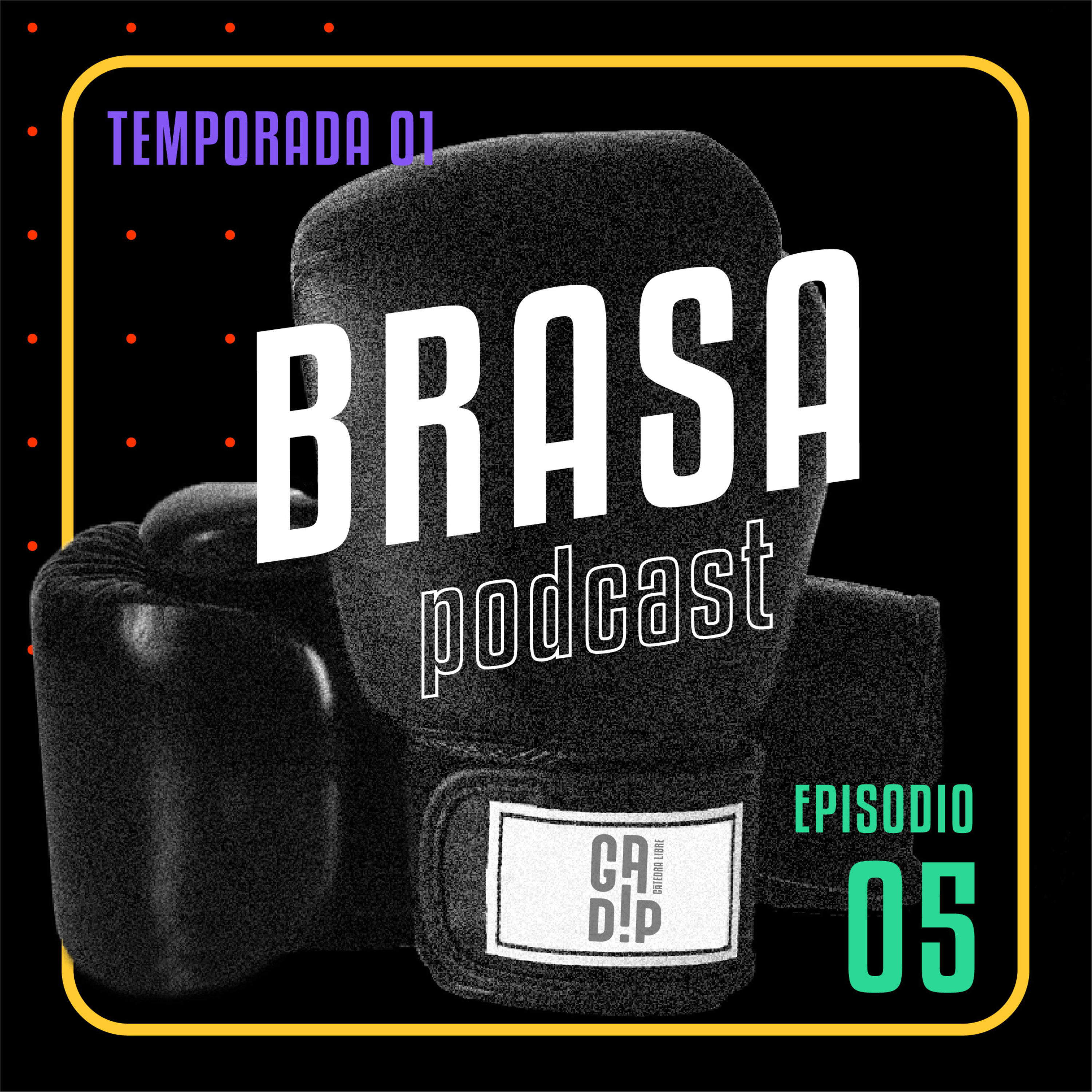 Diversidad episode artwork