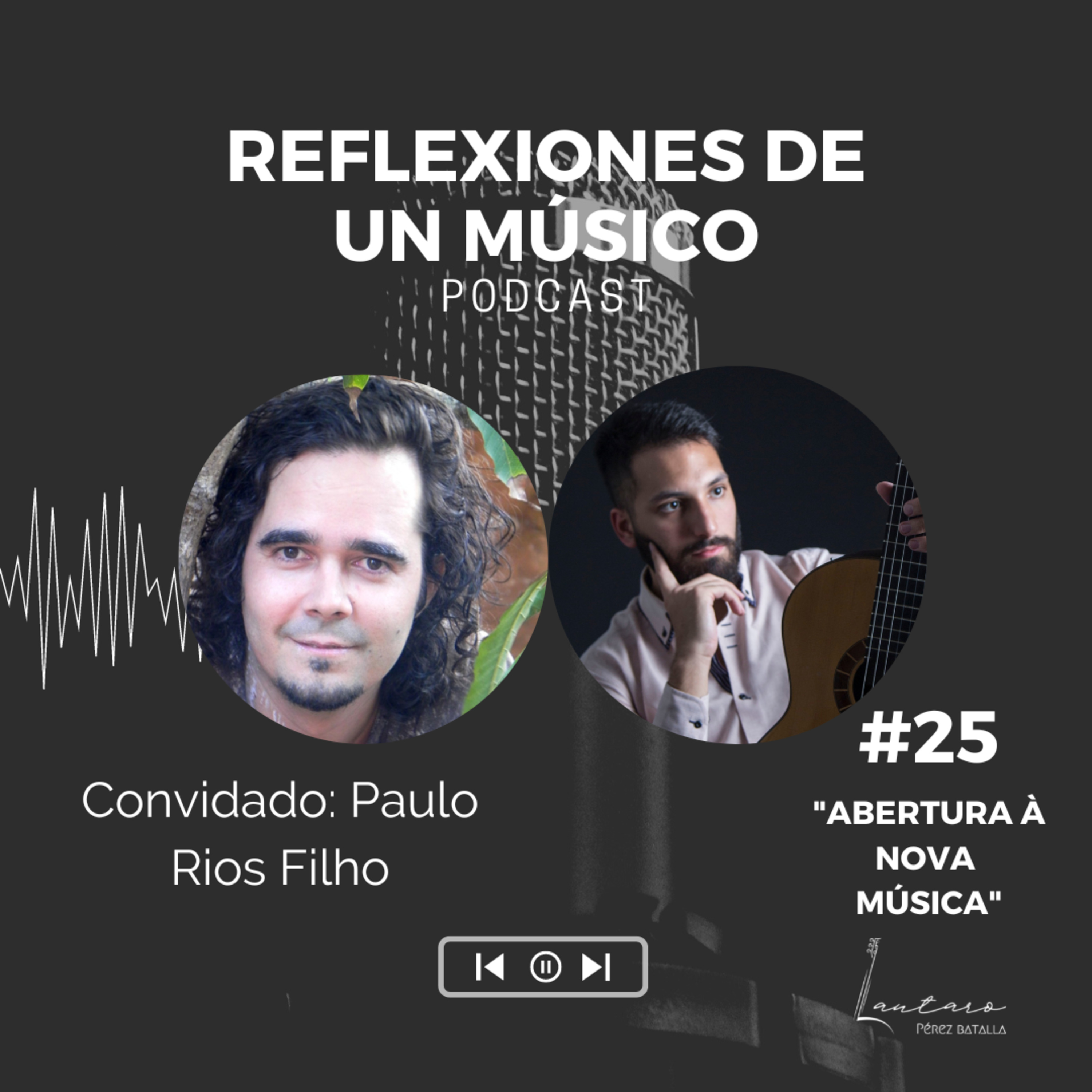Reflexiones de un Músico