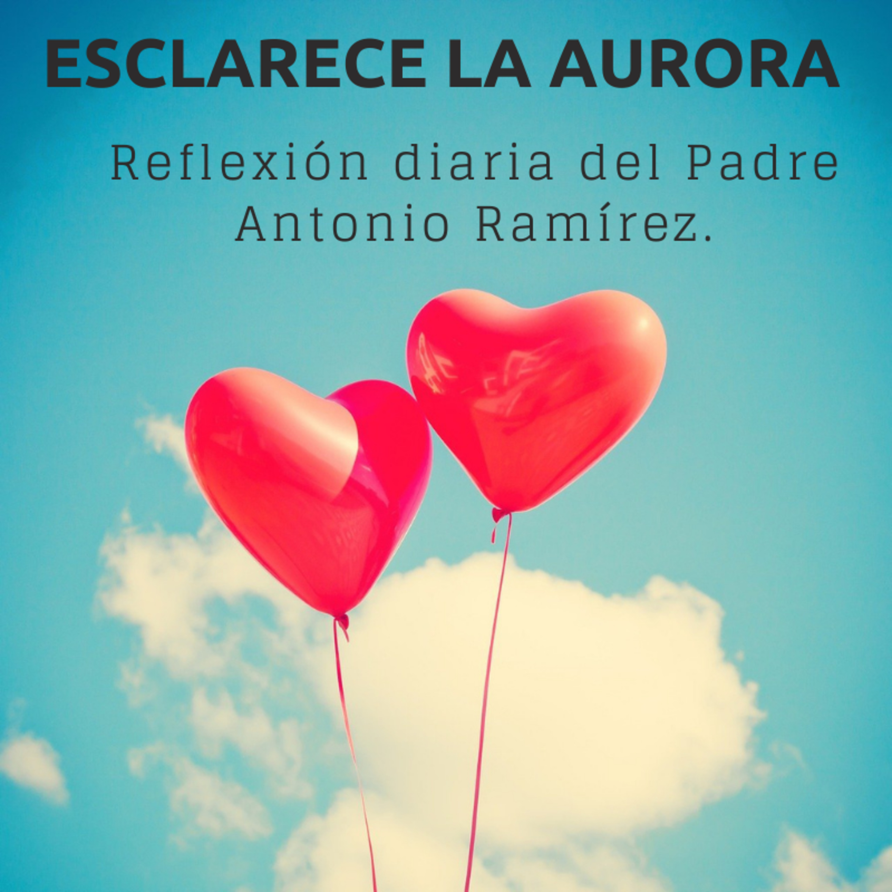 Portada de FUMDIR