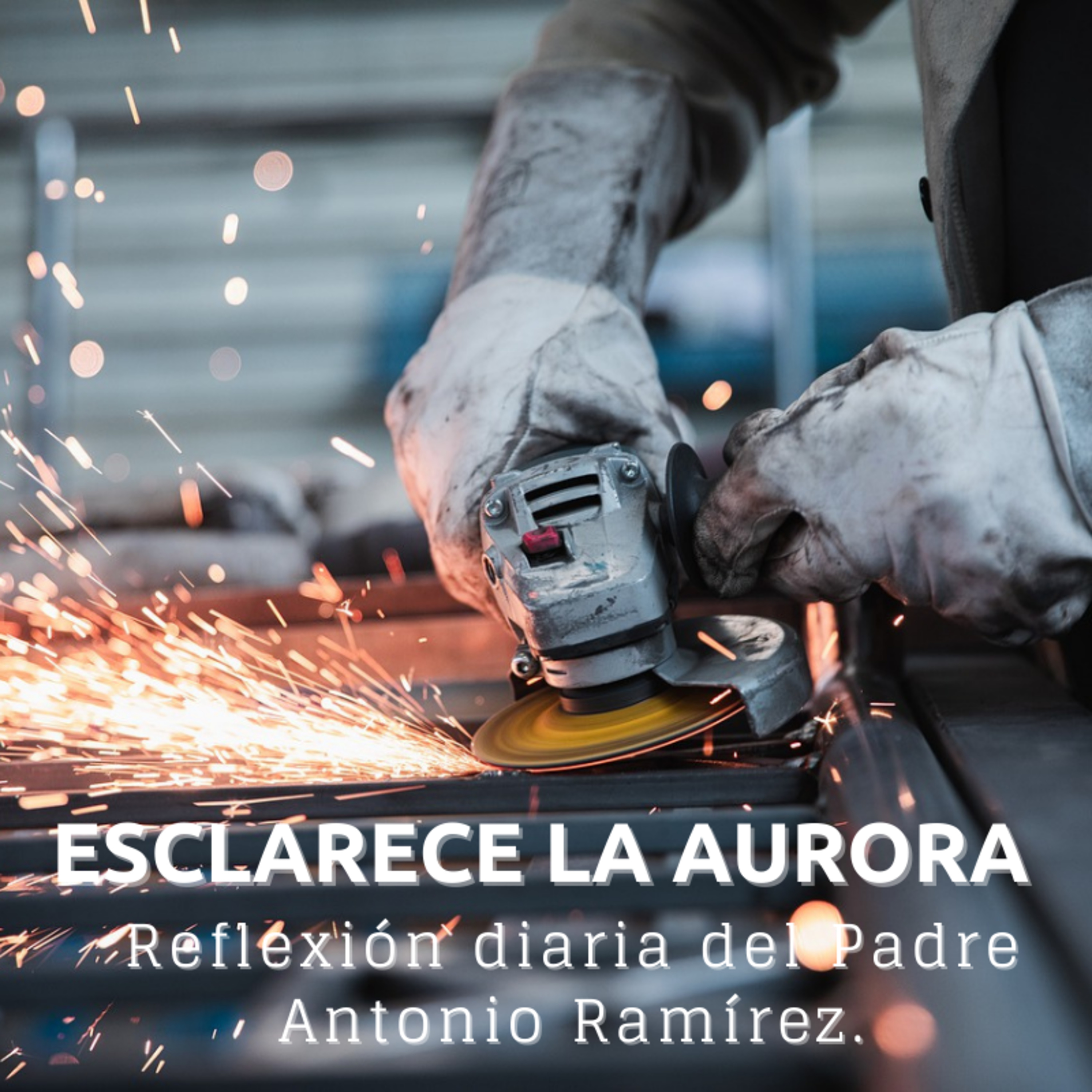 Portada de FUMDIR
