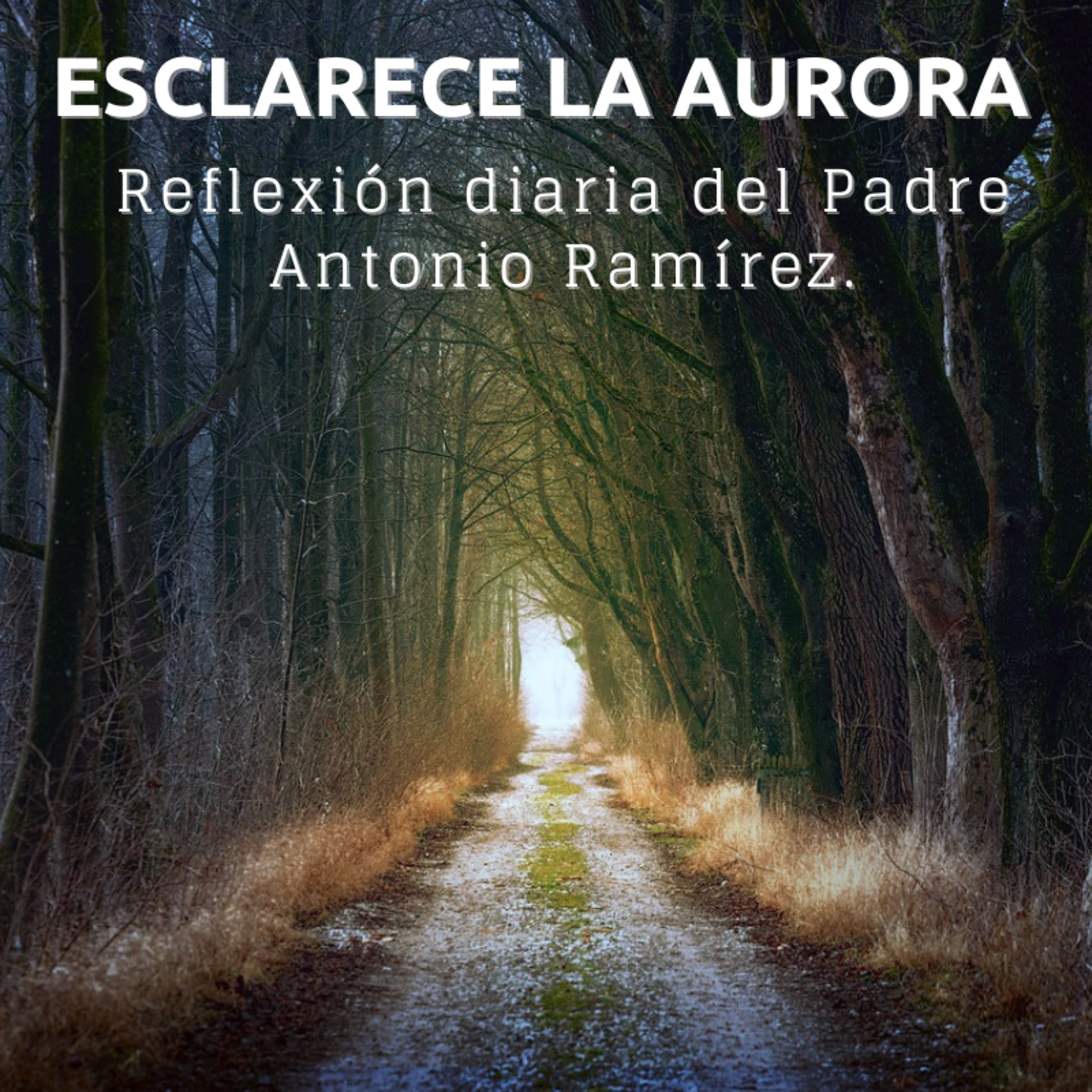Portada de FUMDIR