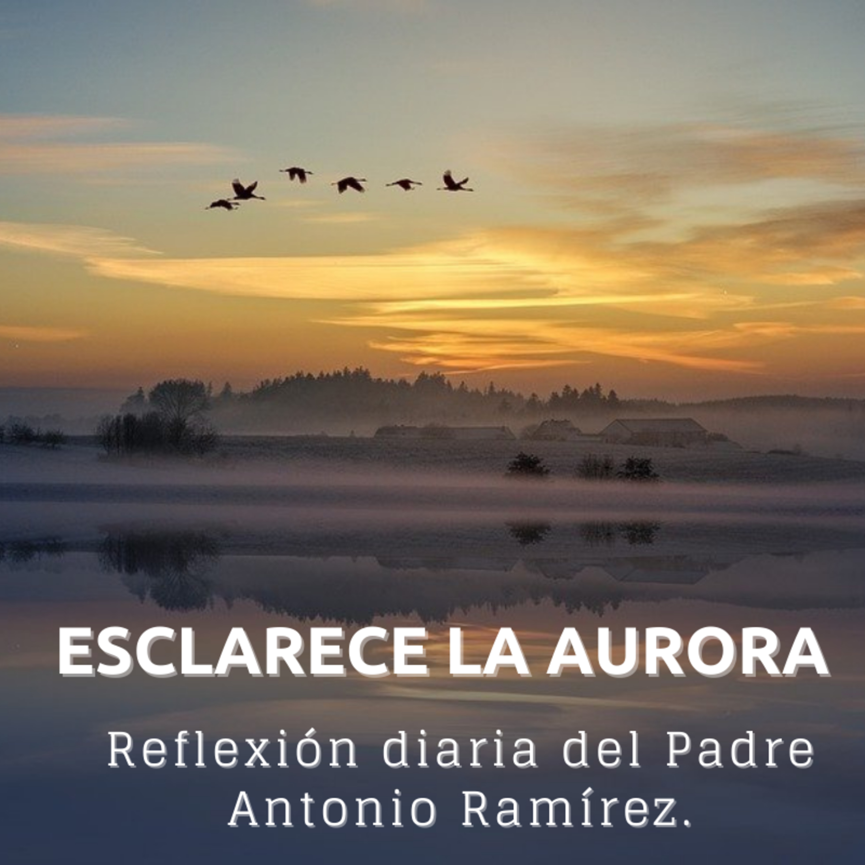 Portada de FUMDIR