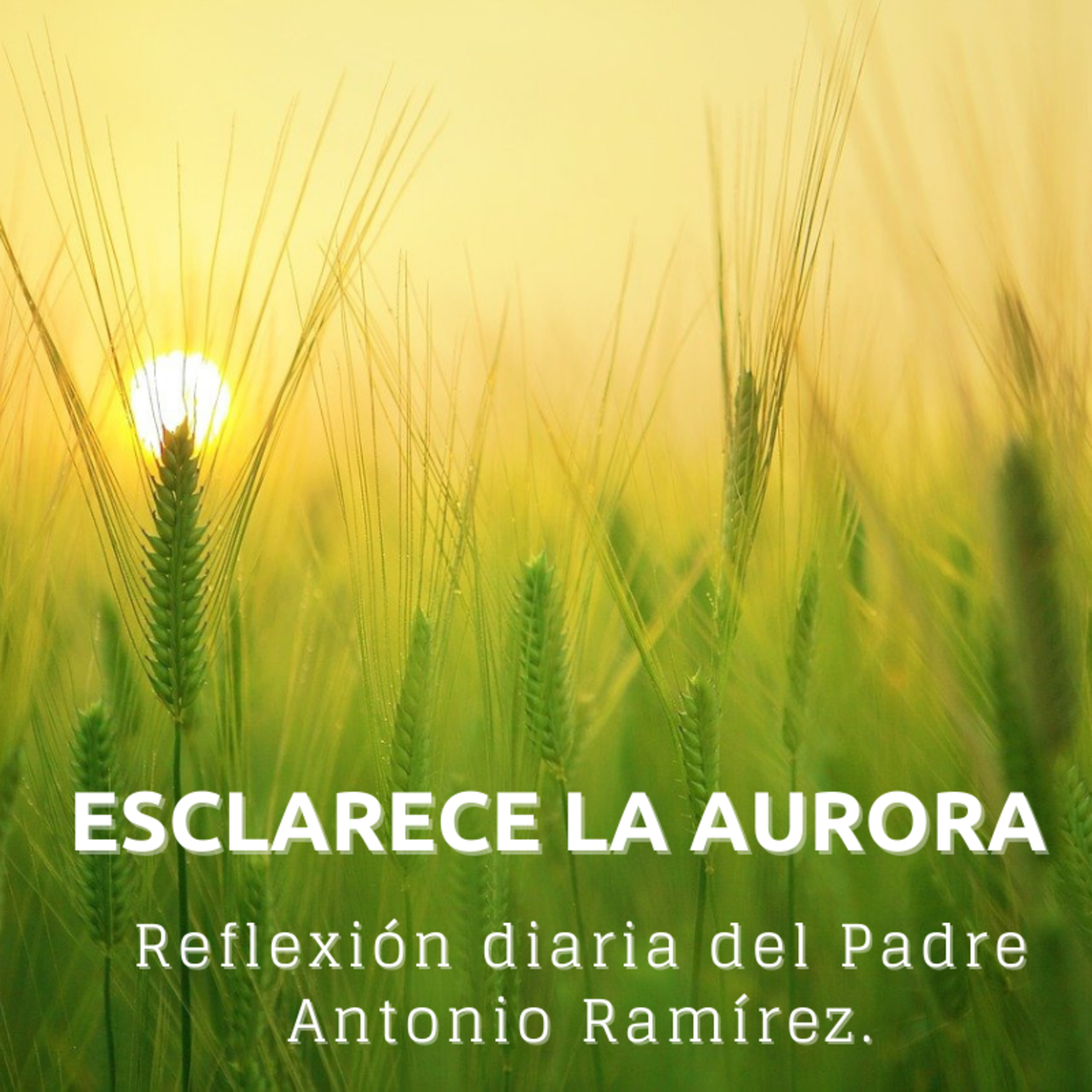 Portada de FUMDIR
