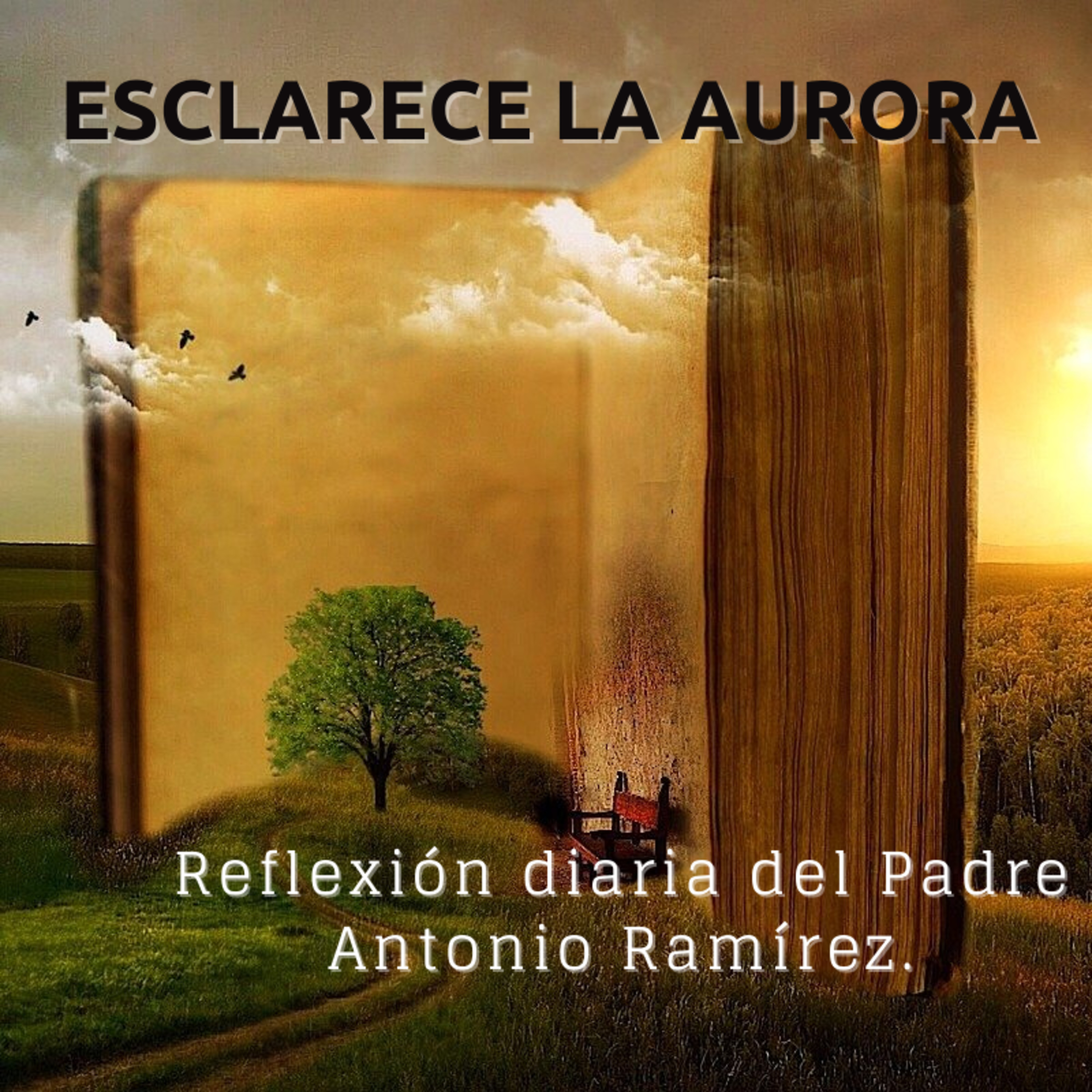 Portada de FUMDIR