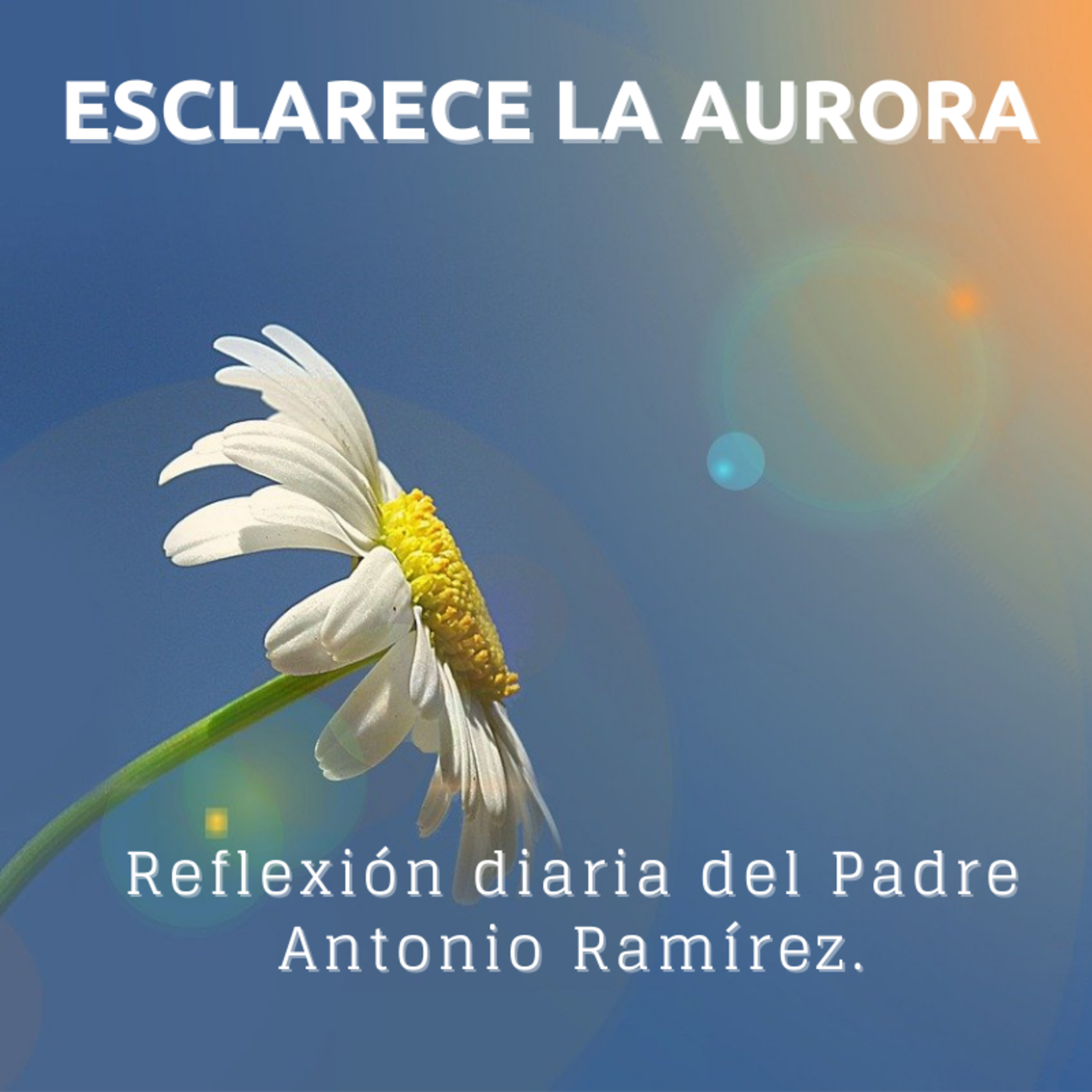 Portada de FUMDIR
