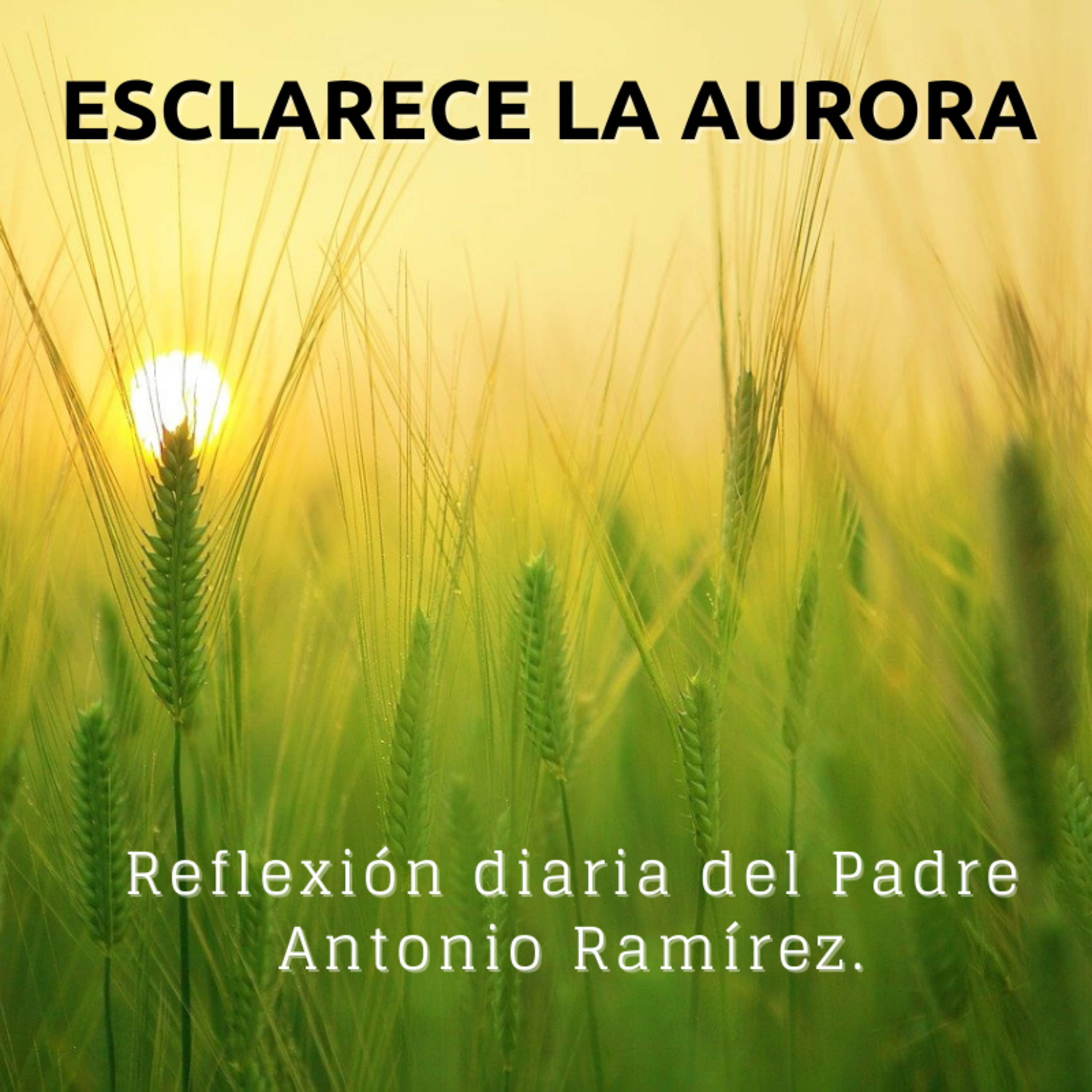 Portada de FUMDIR