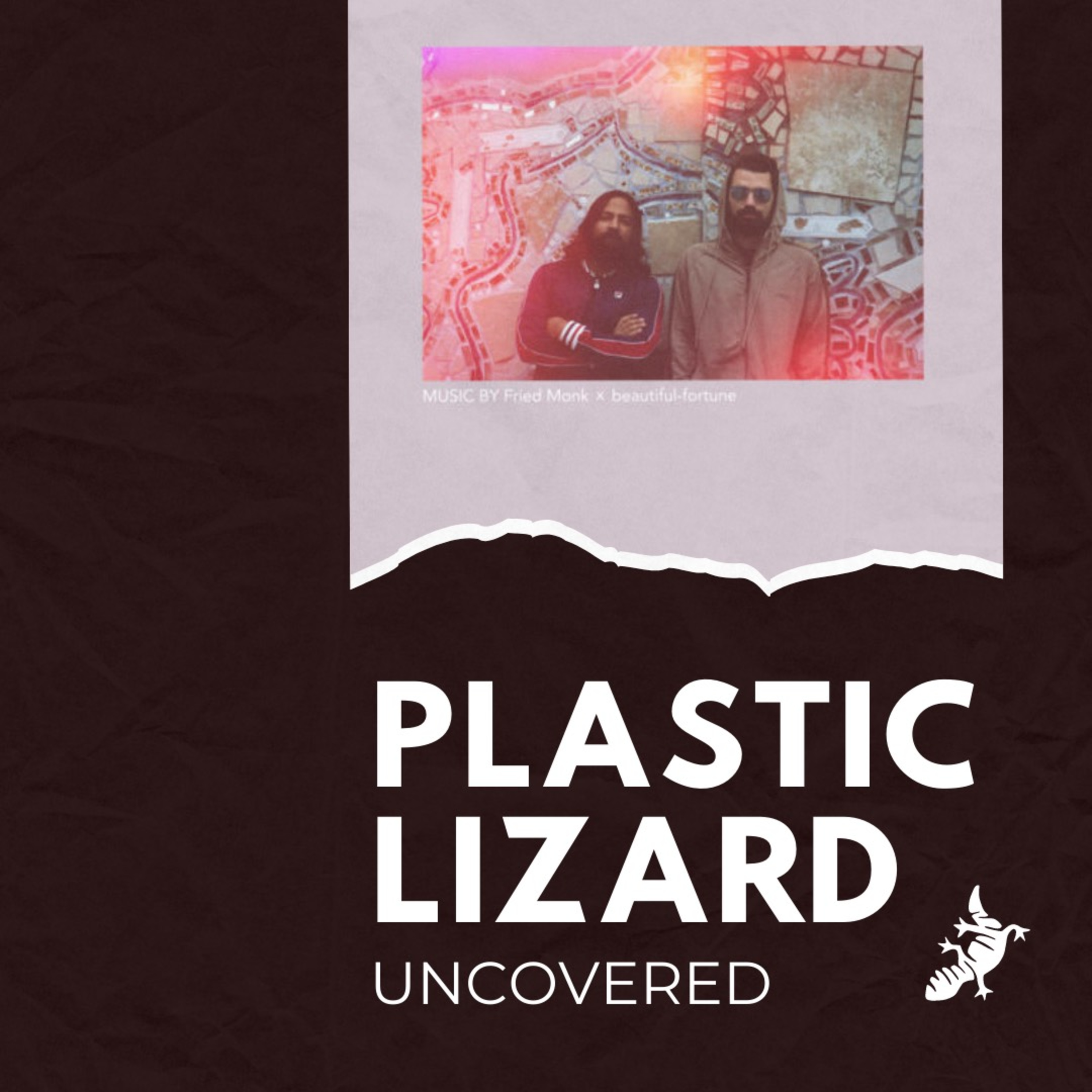 Plastic Lizard: Uncovered