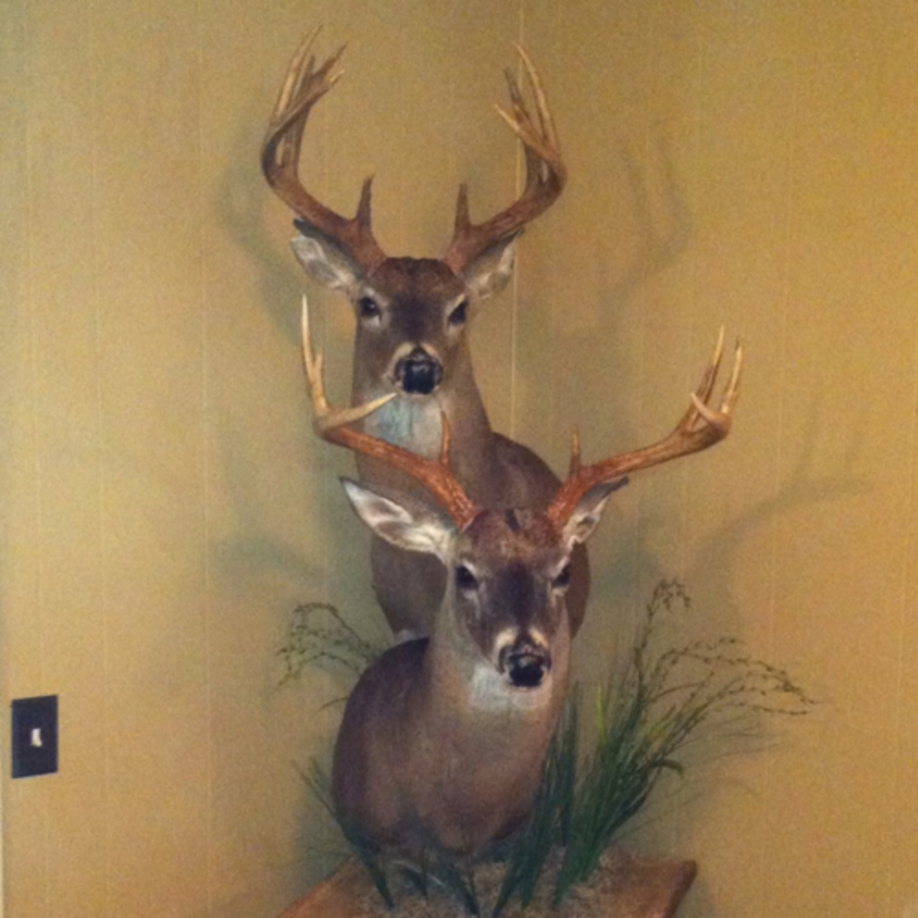 New Hunting Podcast Series