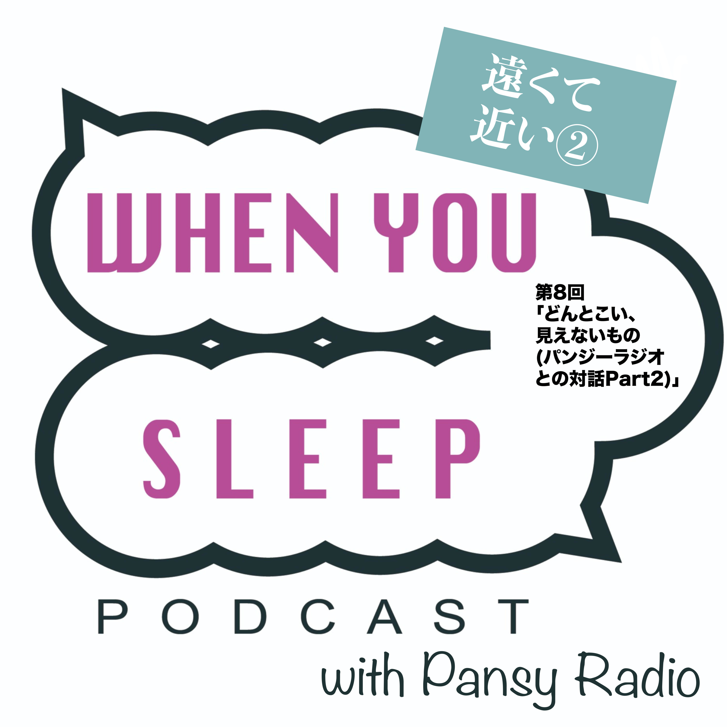 第8回「どんとこい見えないもの(パンジーラジオとの対話 Part2)」