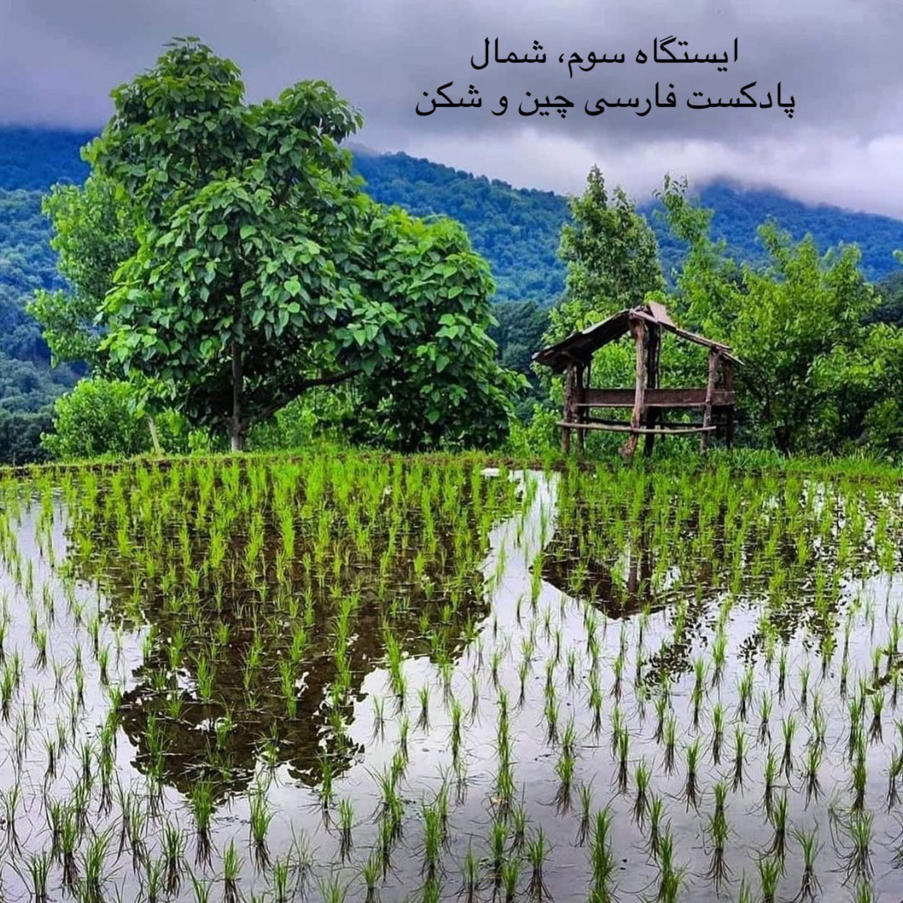کاور ایستگاه سوم، شمال