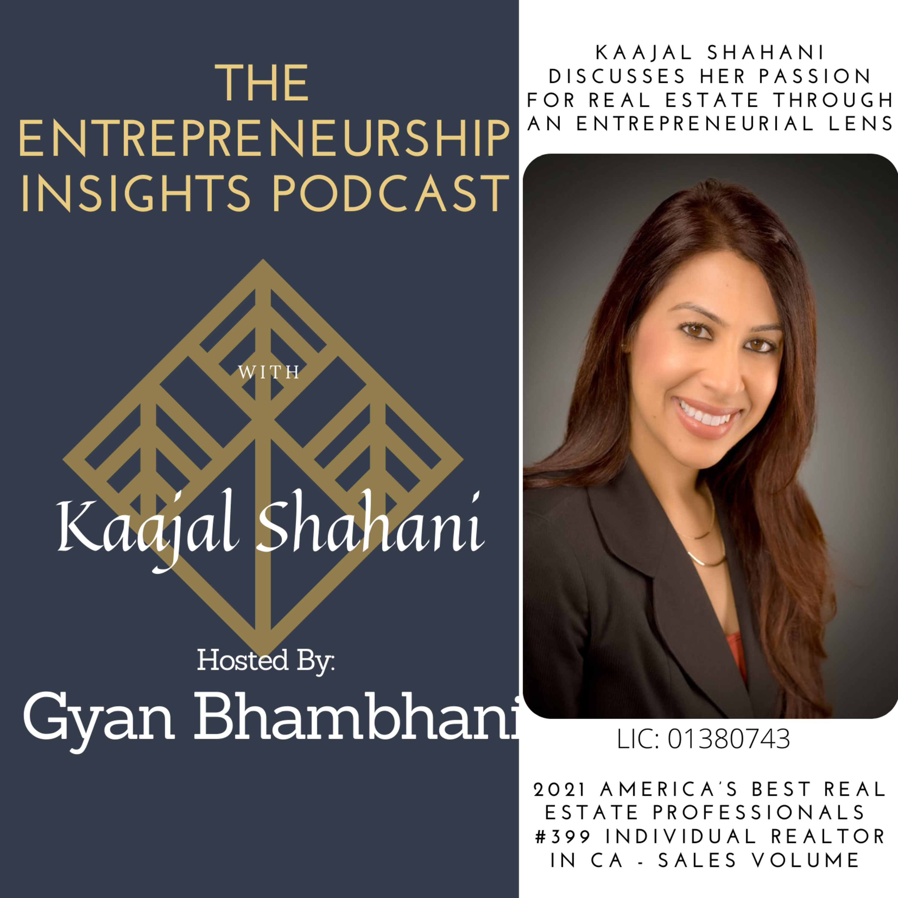 The Entrepreneurship Insights Podcast