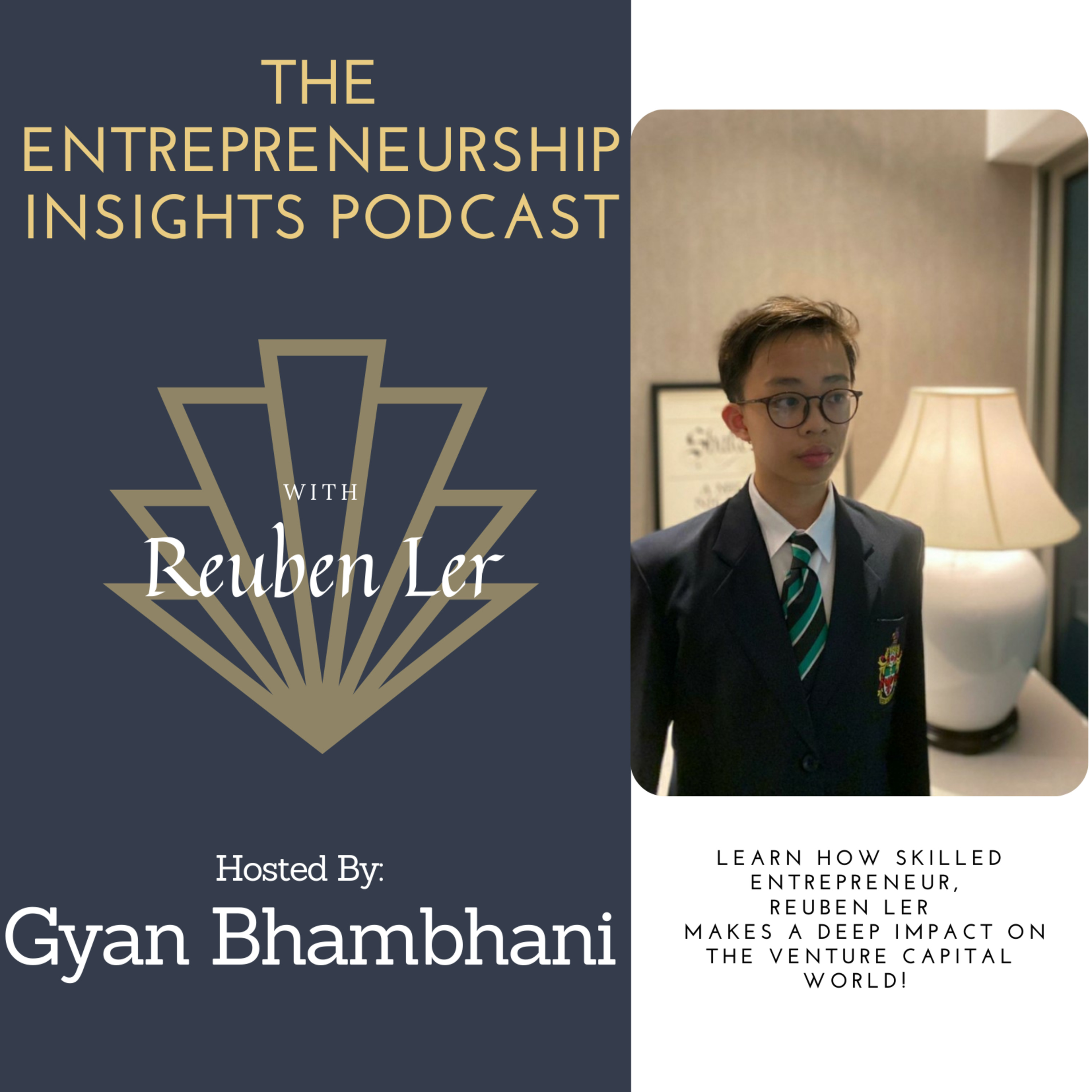 The Entrepreneurship Insights Podcast