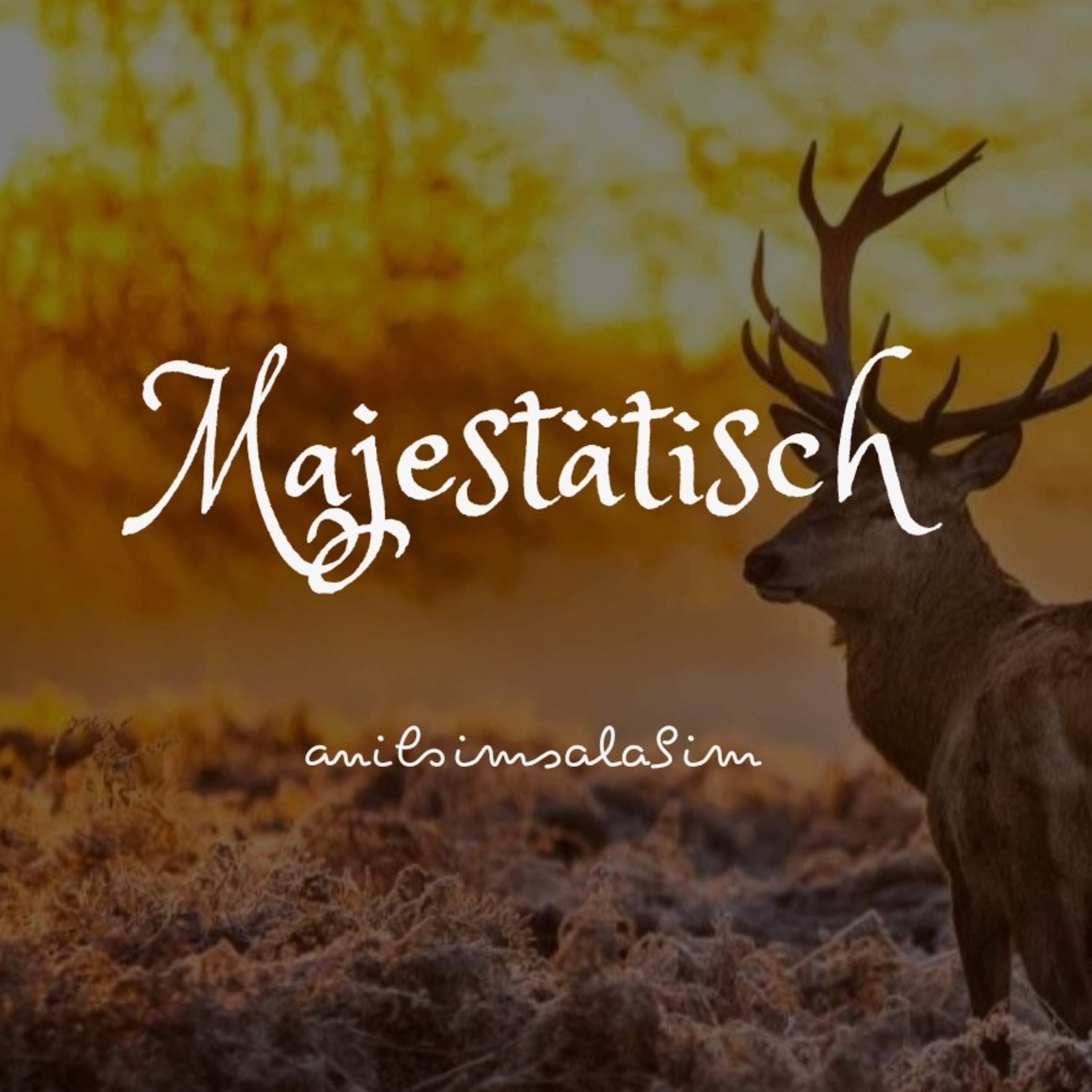 Mein Tagebuch