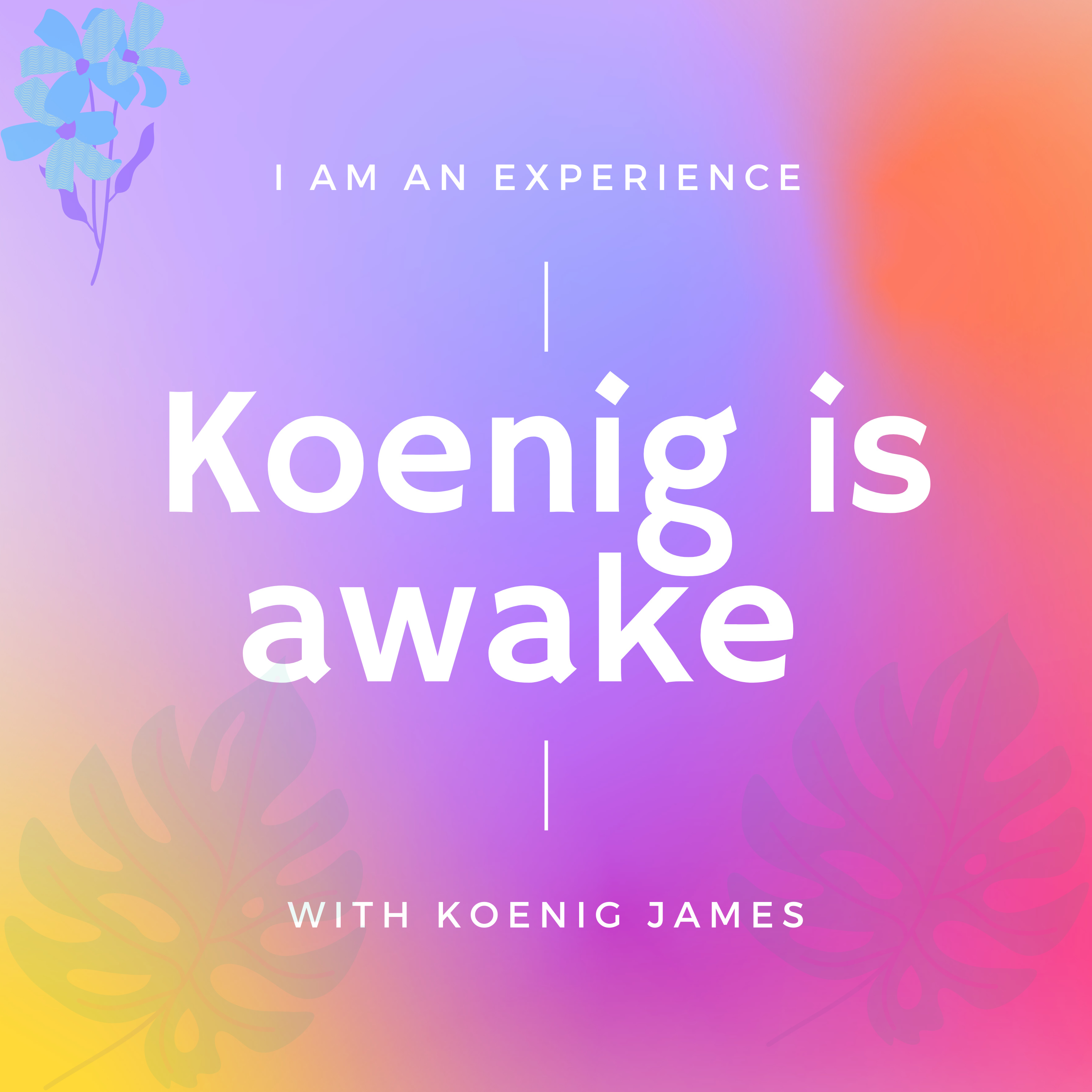 Iamanexperience