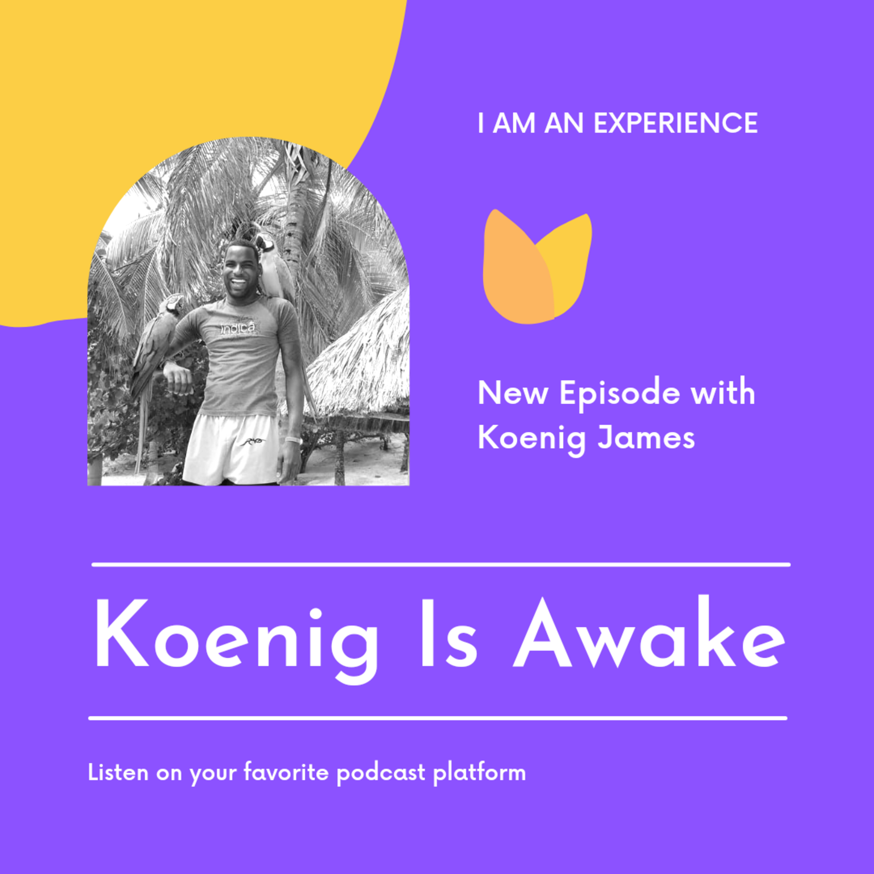Iamanexperience