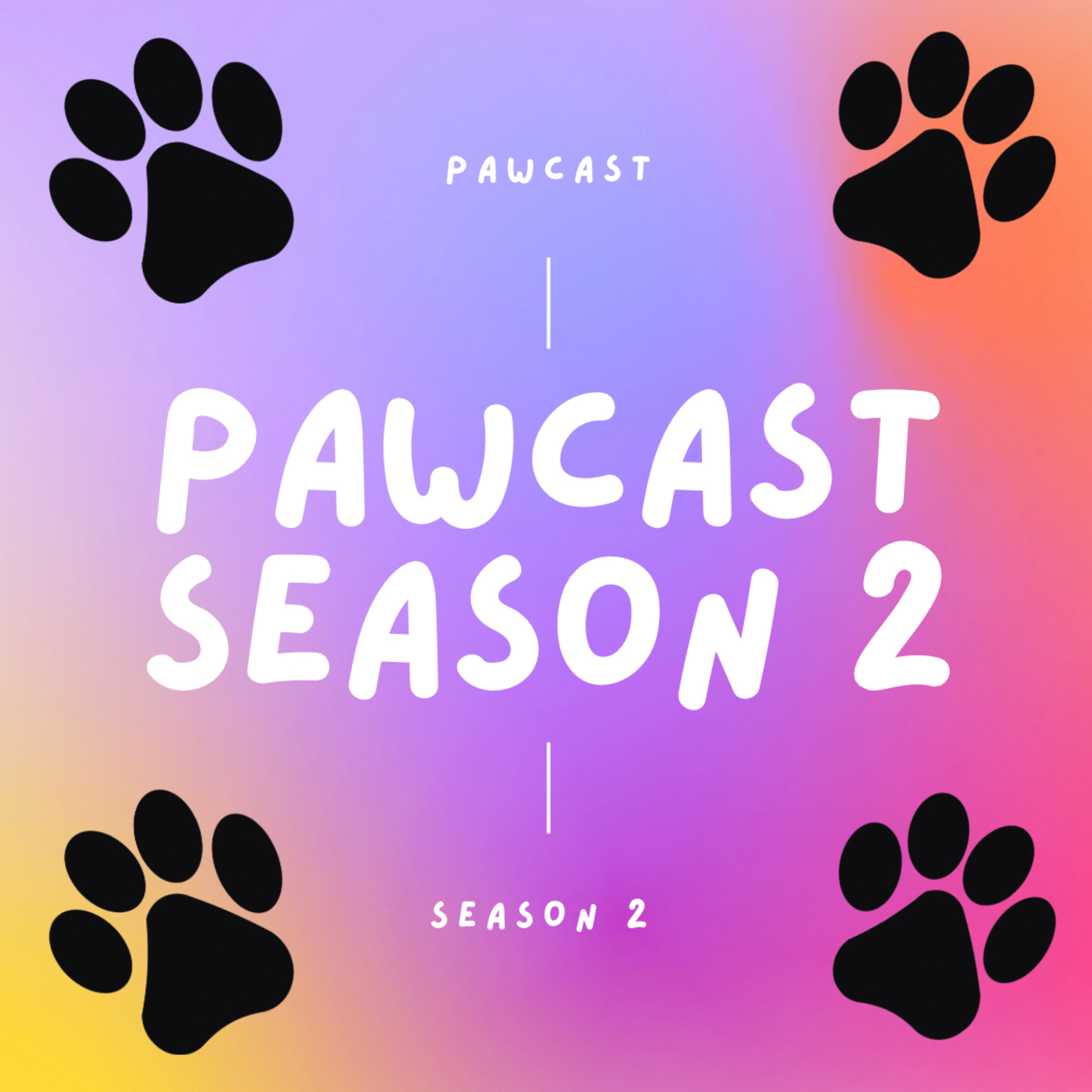 Pawcast