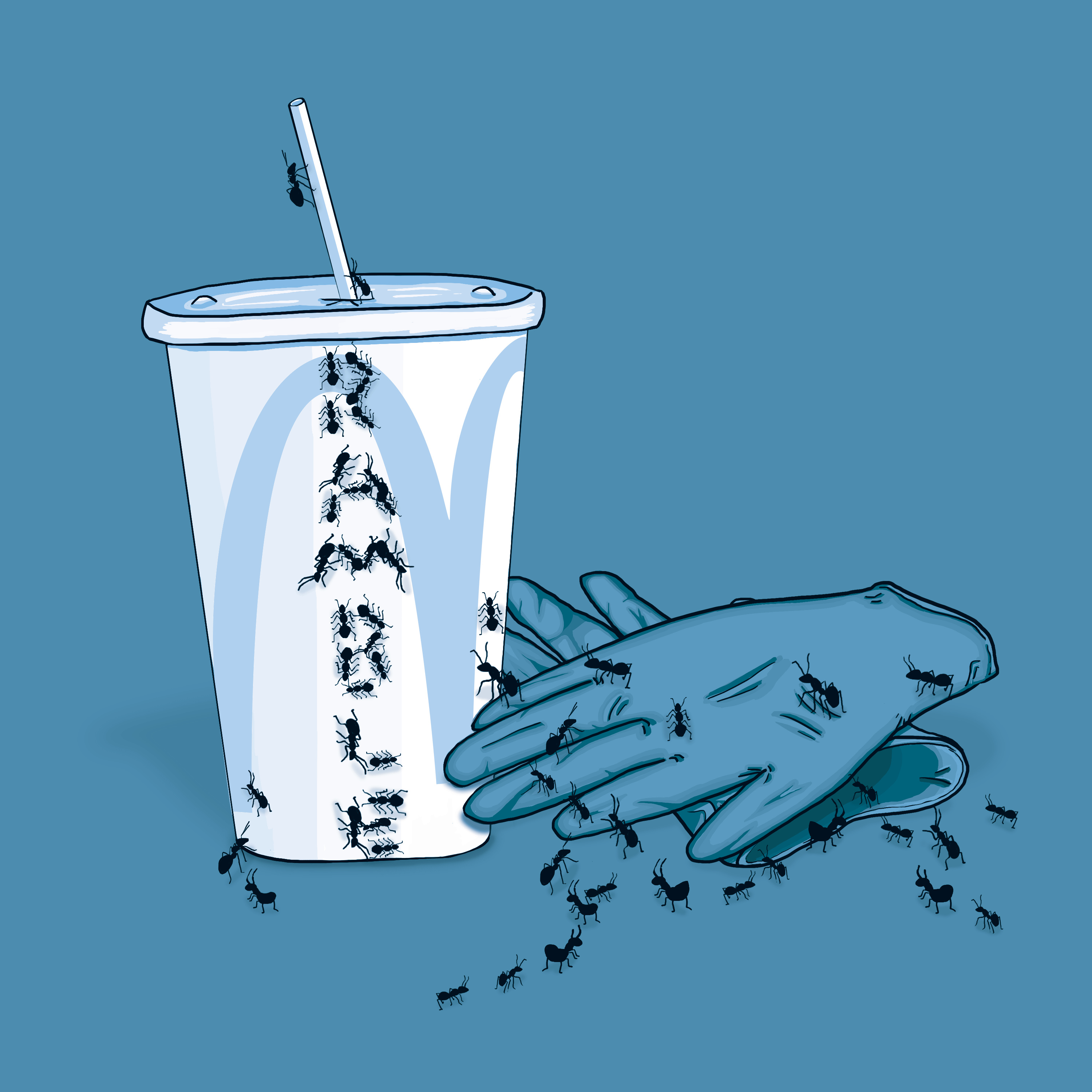The Ramble