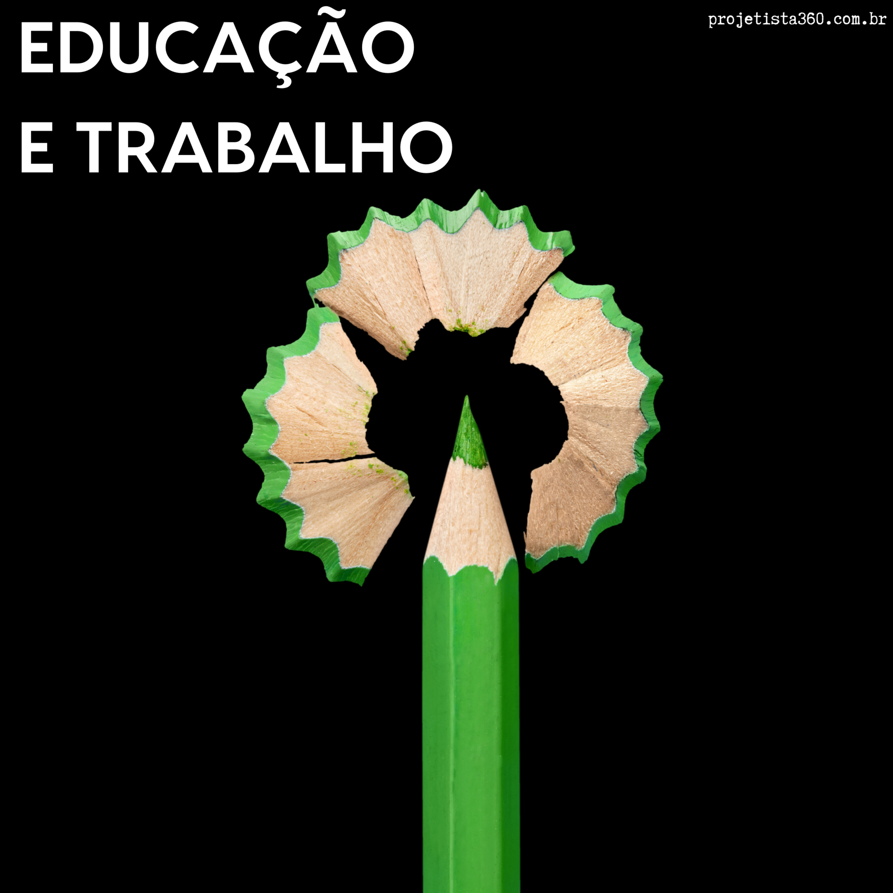 Projetista 360º