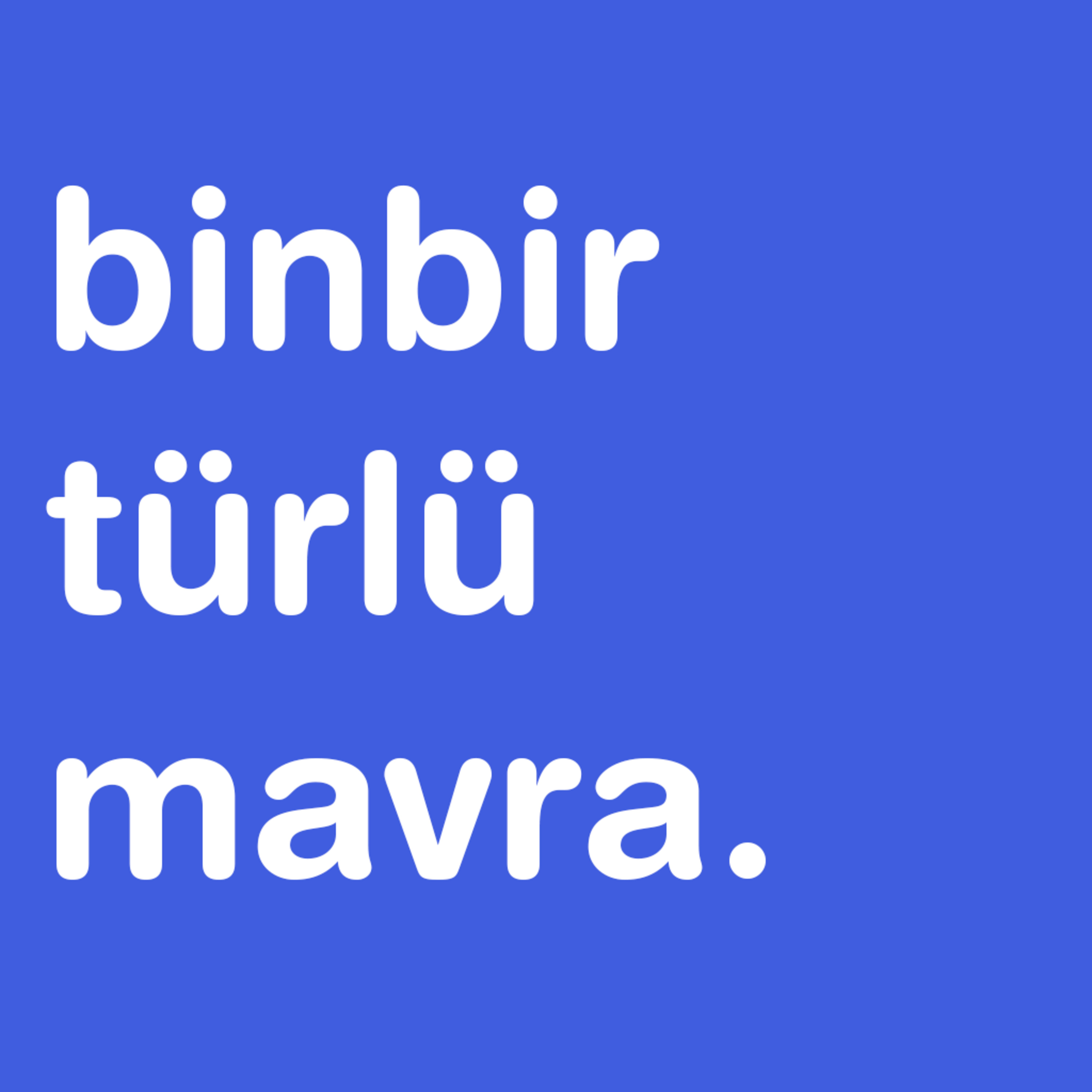 binbir türlü mavra.