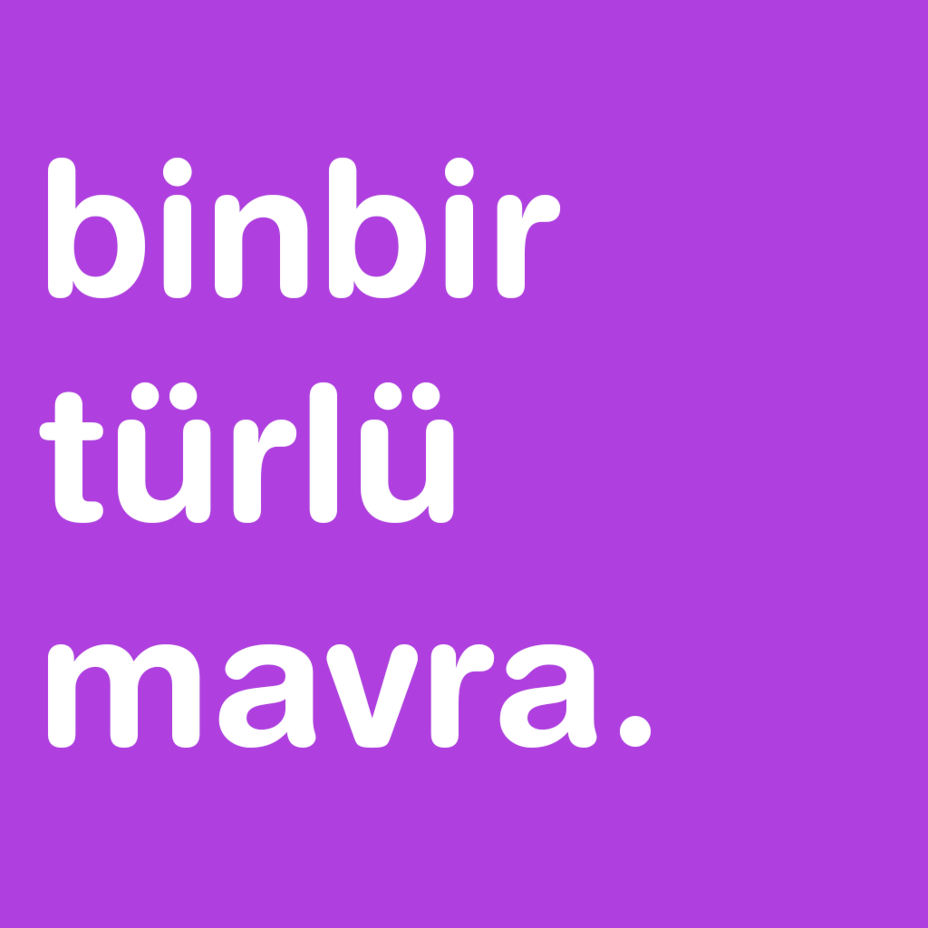 binbir türlü mavra.
