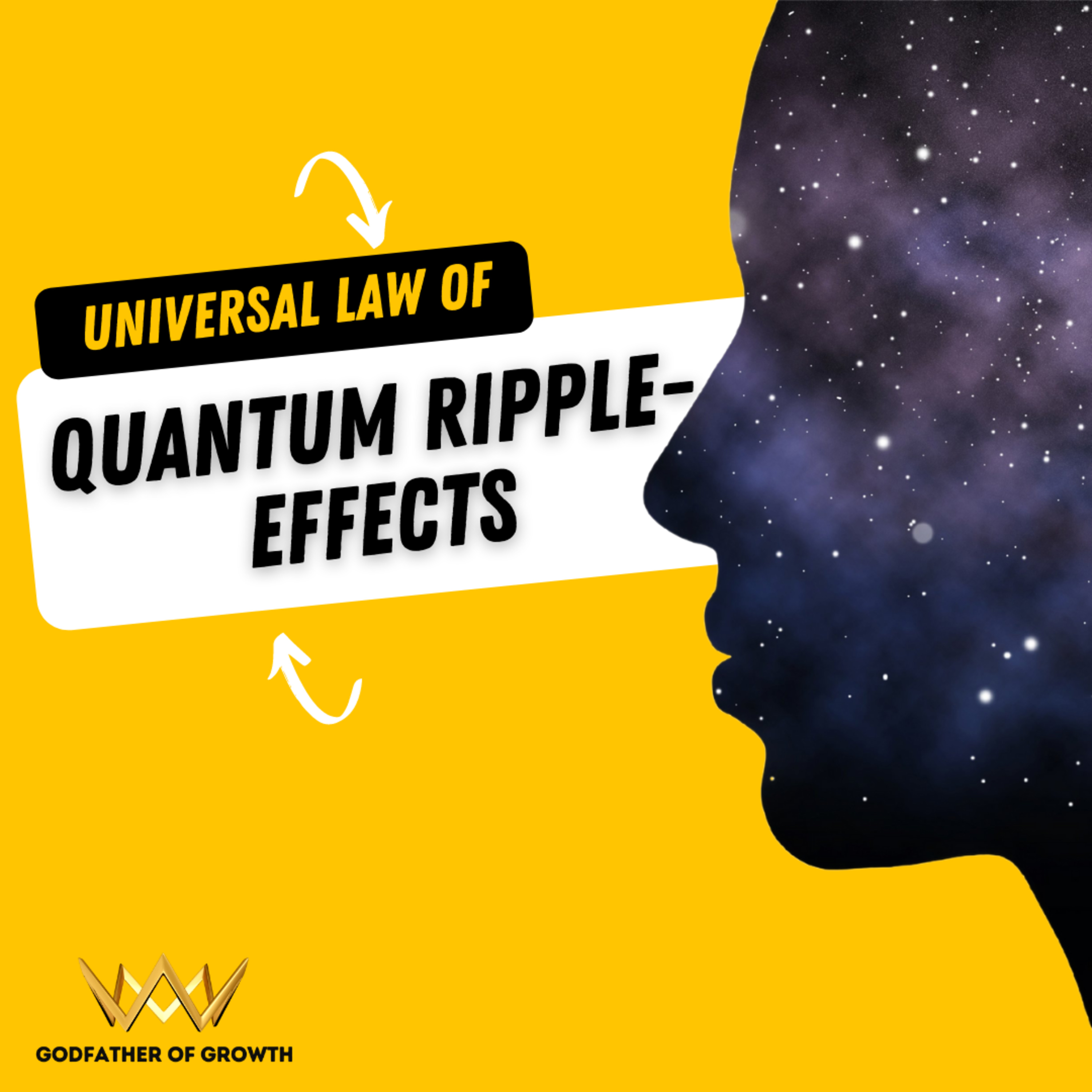 Integral Growth Mindset Transformation Theorem Series | Micro-lecture Chapter #2 | Universal Law of Quantum Ripple Effect