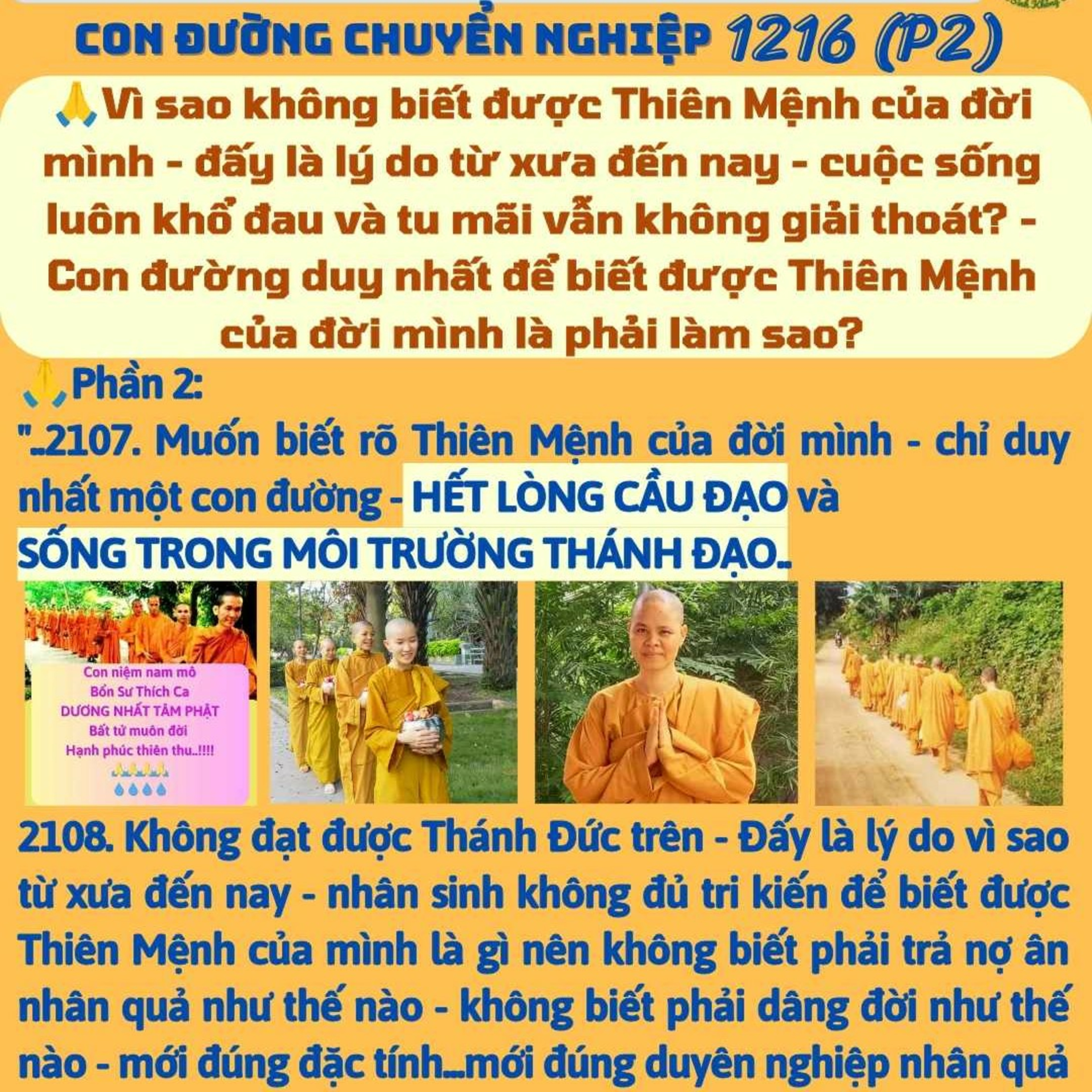 1216. Con đường duy nhất để biết được Thiên Mệnh của đời mình là phải làm sao?🙏💛 episode artwork
