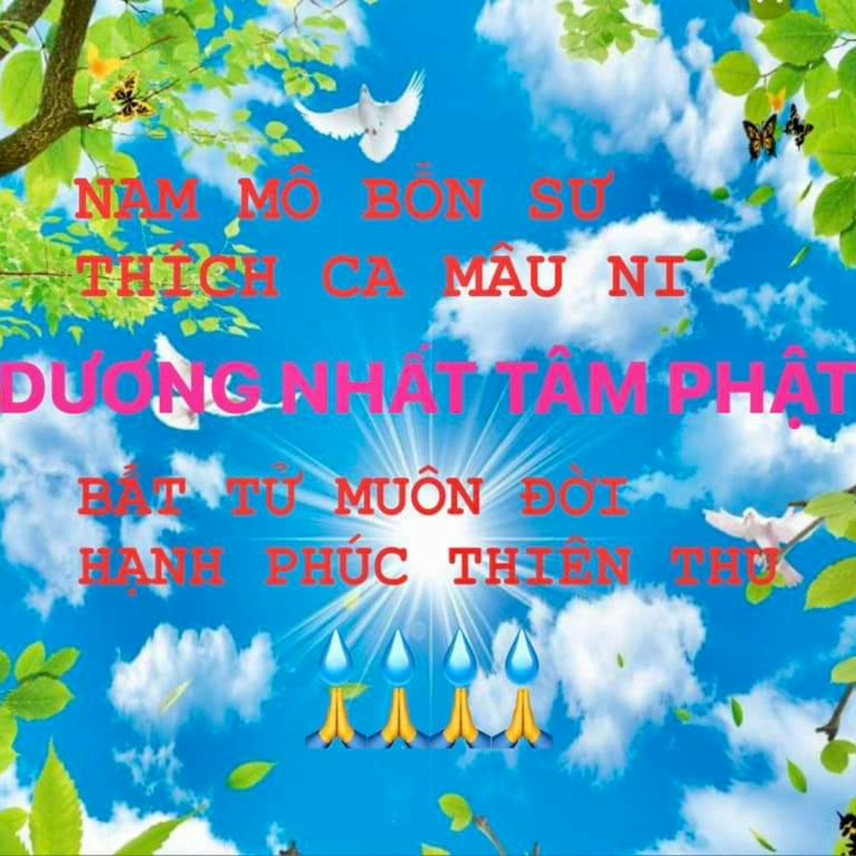 🌹Bài Hát THIÊN MỆNH 7 - NHỮNG CÂU TÁC Ý - TRÌ CHÚ - THÁNH THIỆN NHẤT TRONG KIẾP NHÂN SINH..!!!!🙏 episode artwork