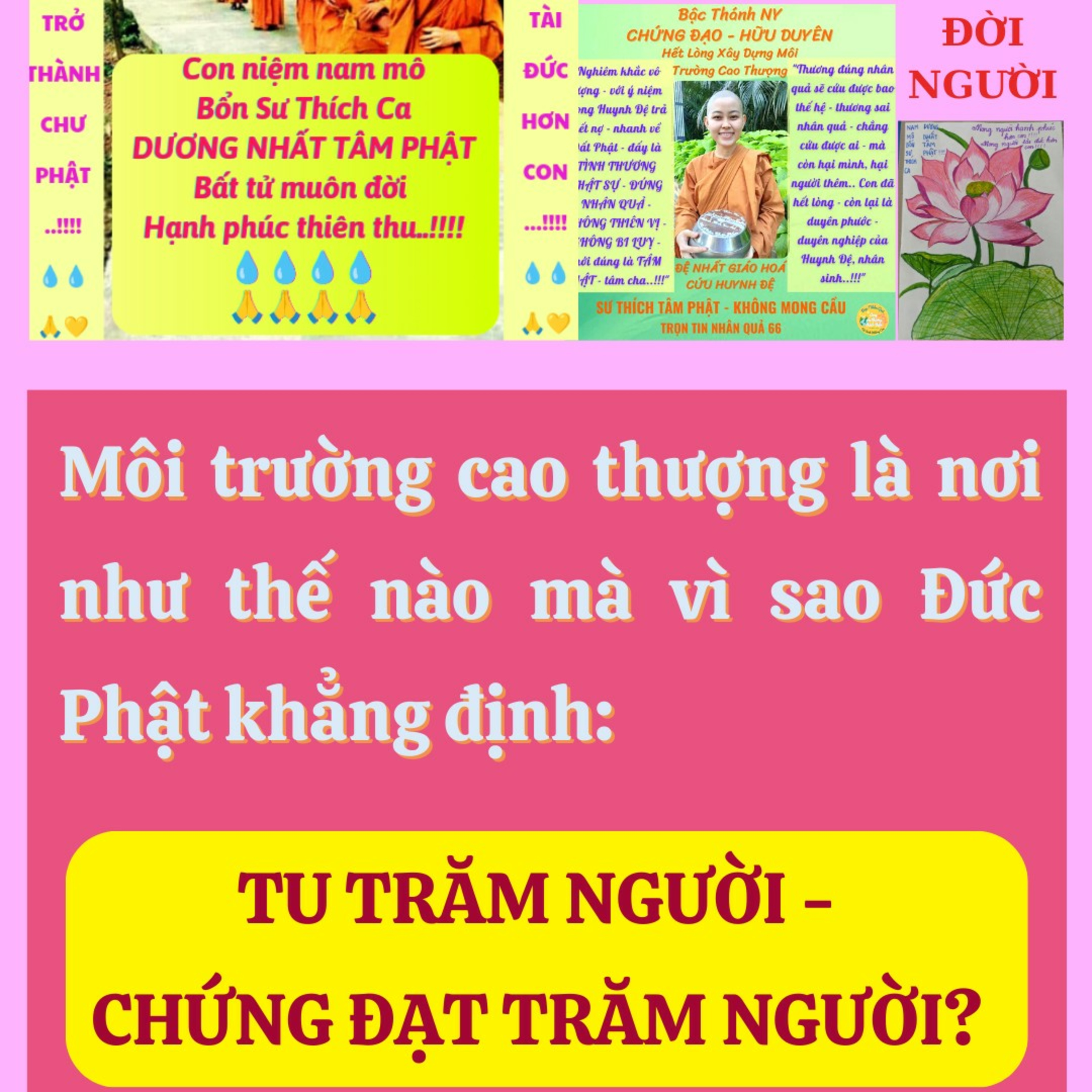 1221. Vì sao Đức Phật khẳng định - trong Môi Trường Cao Thượng TU TRĂM NGƯỜI - CHỨNG ĐẠT TRĂM NGƯỜI? episode artwork
