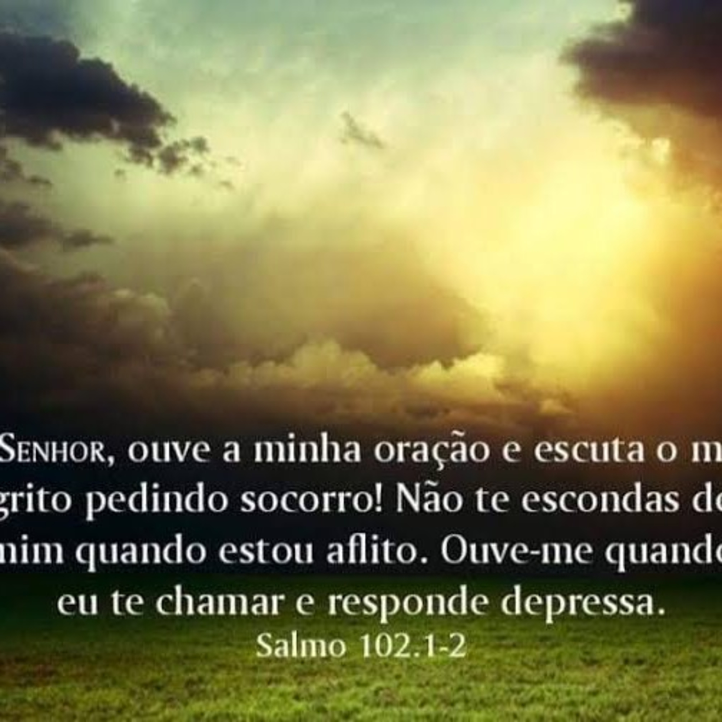 Salmos 102 episode artwork