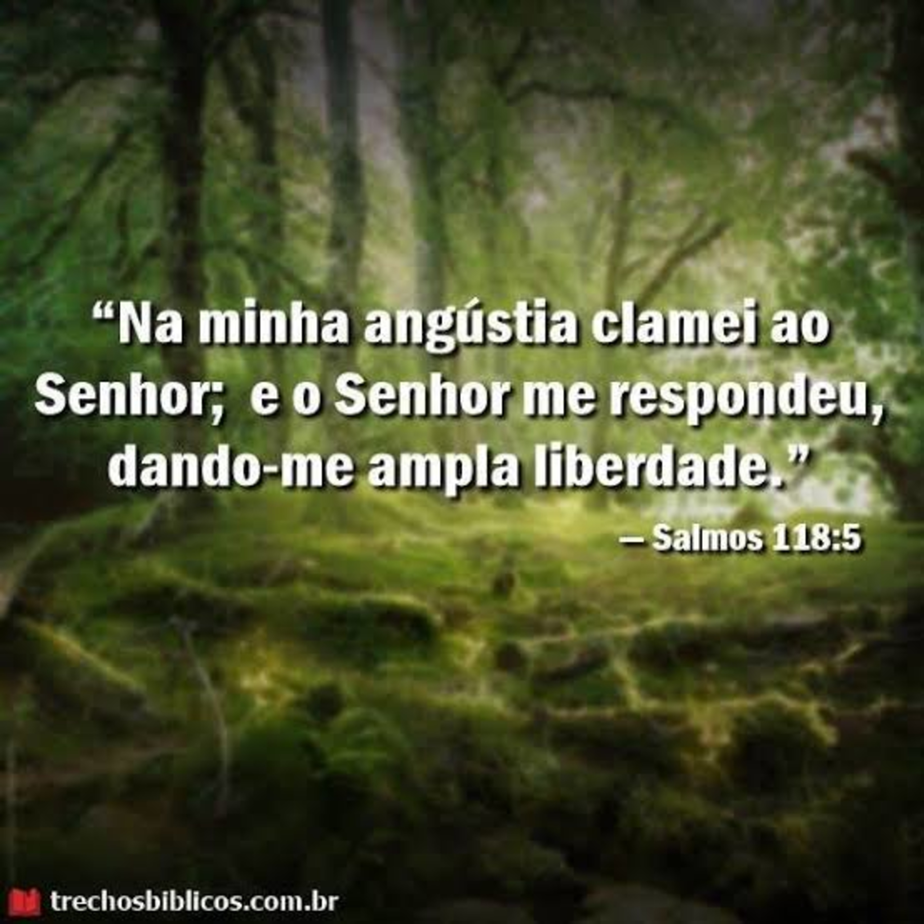 Salmos 118 episode artwork