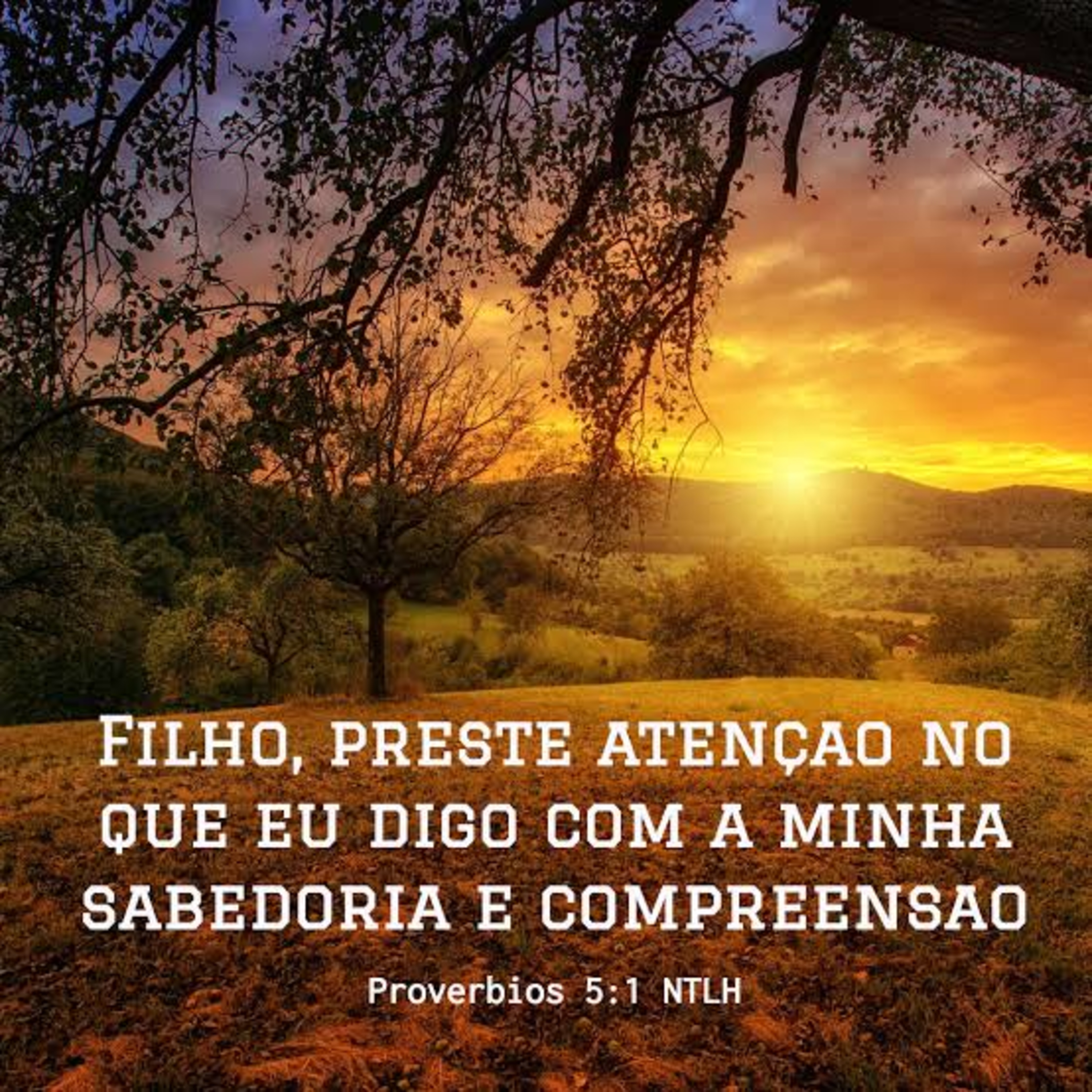 Provérbios 5 episode artwork
