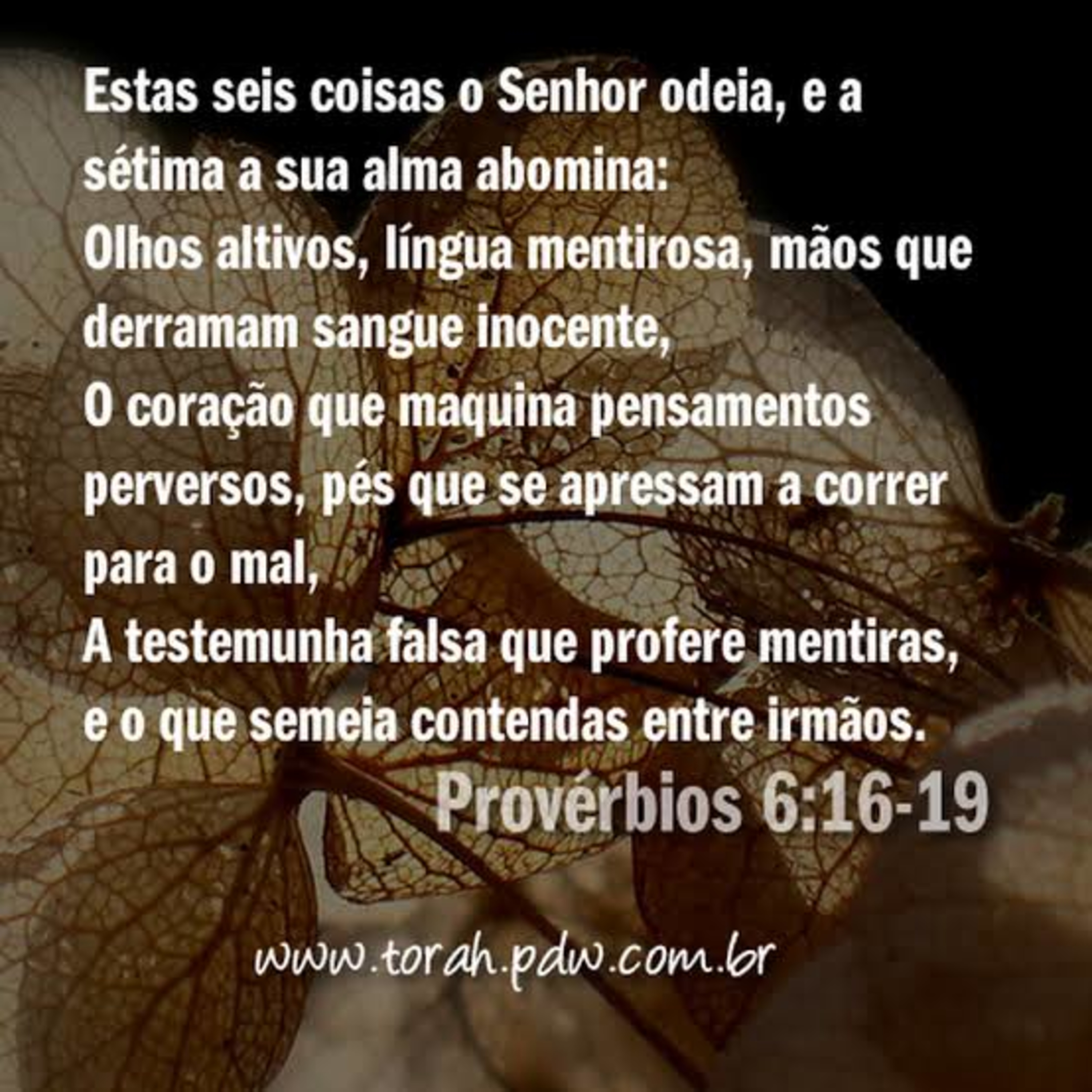 Provérbios 6 episode artwork