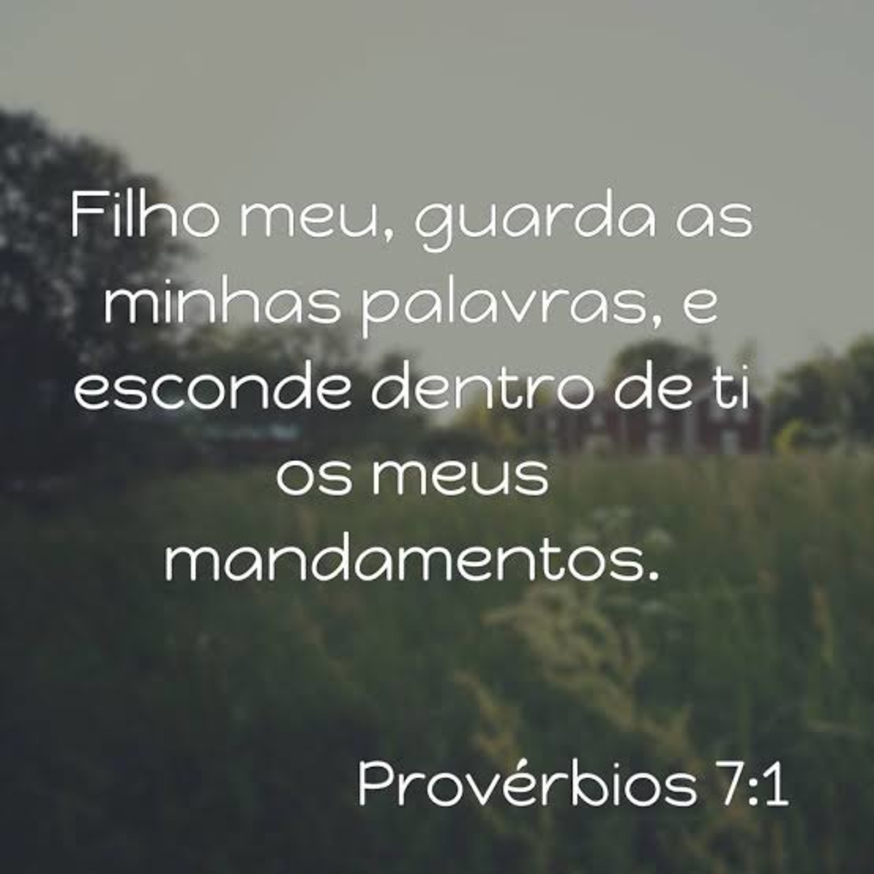 Provérbios 7 episode artwork