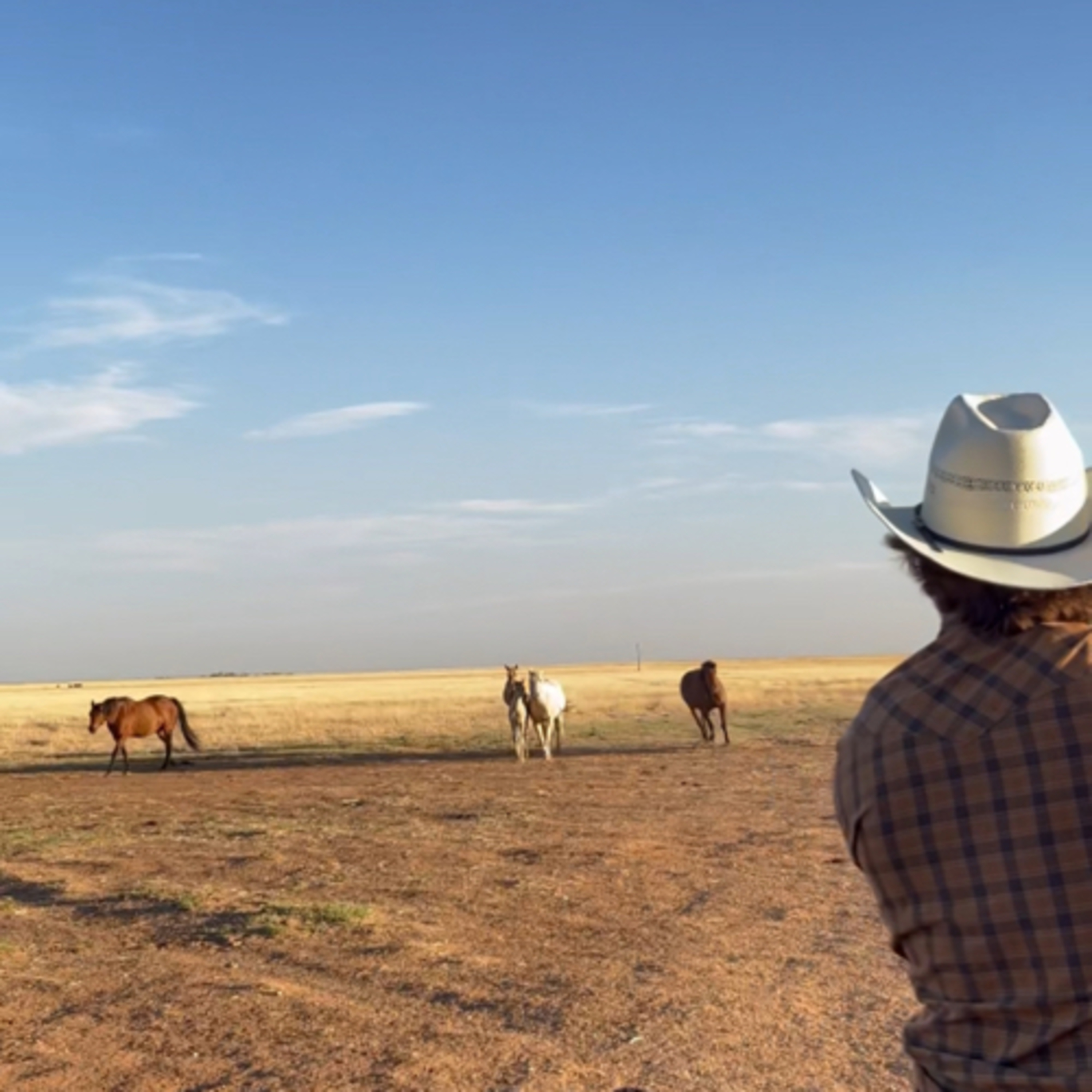 Cowboy Up episode artwork