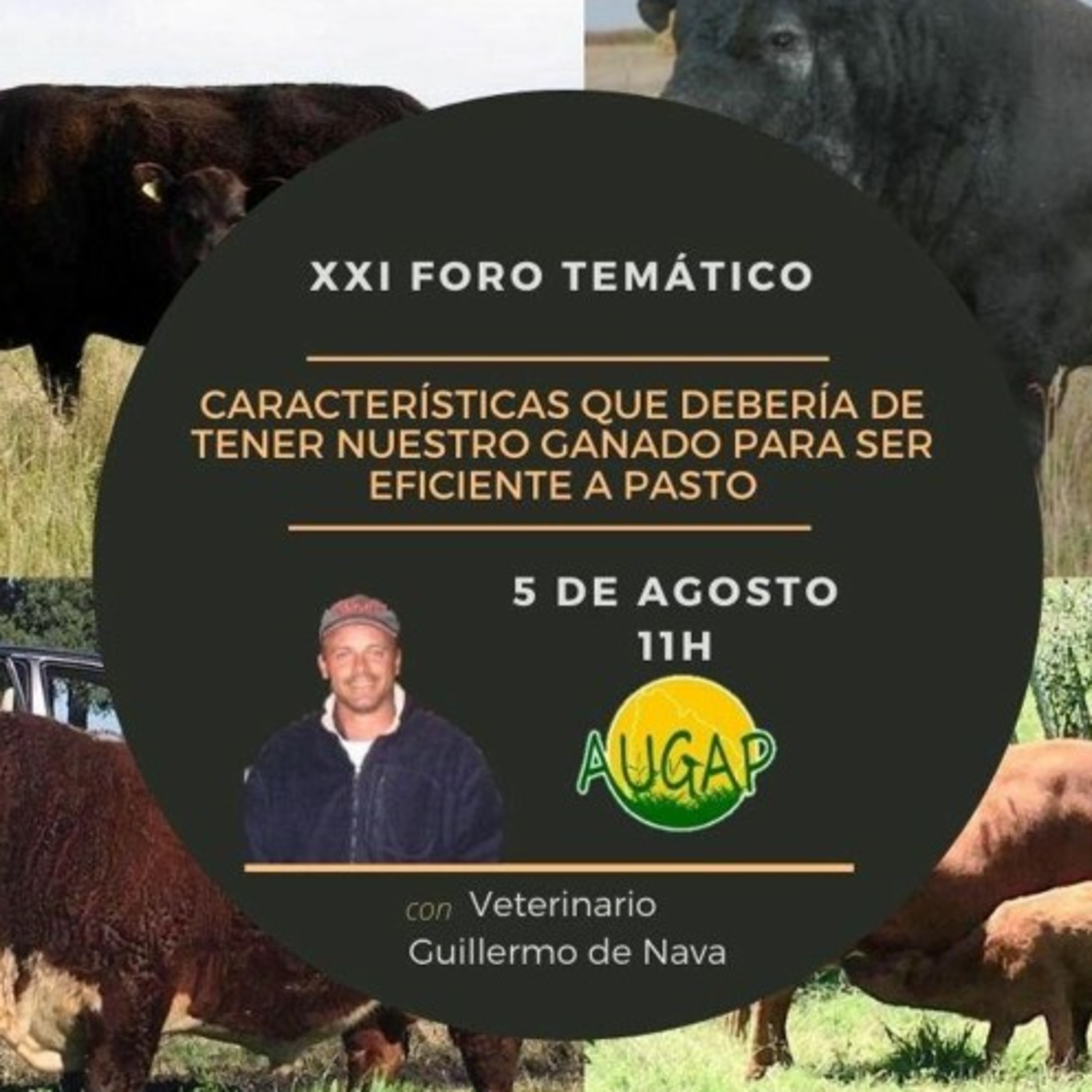 Foros temáticos AUGAP