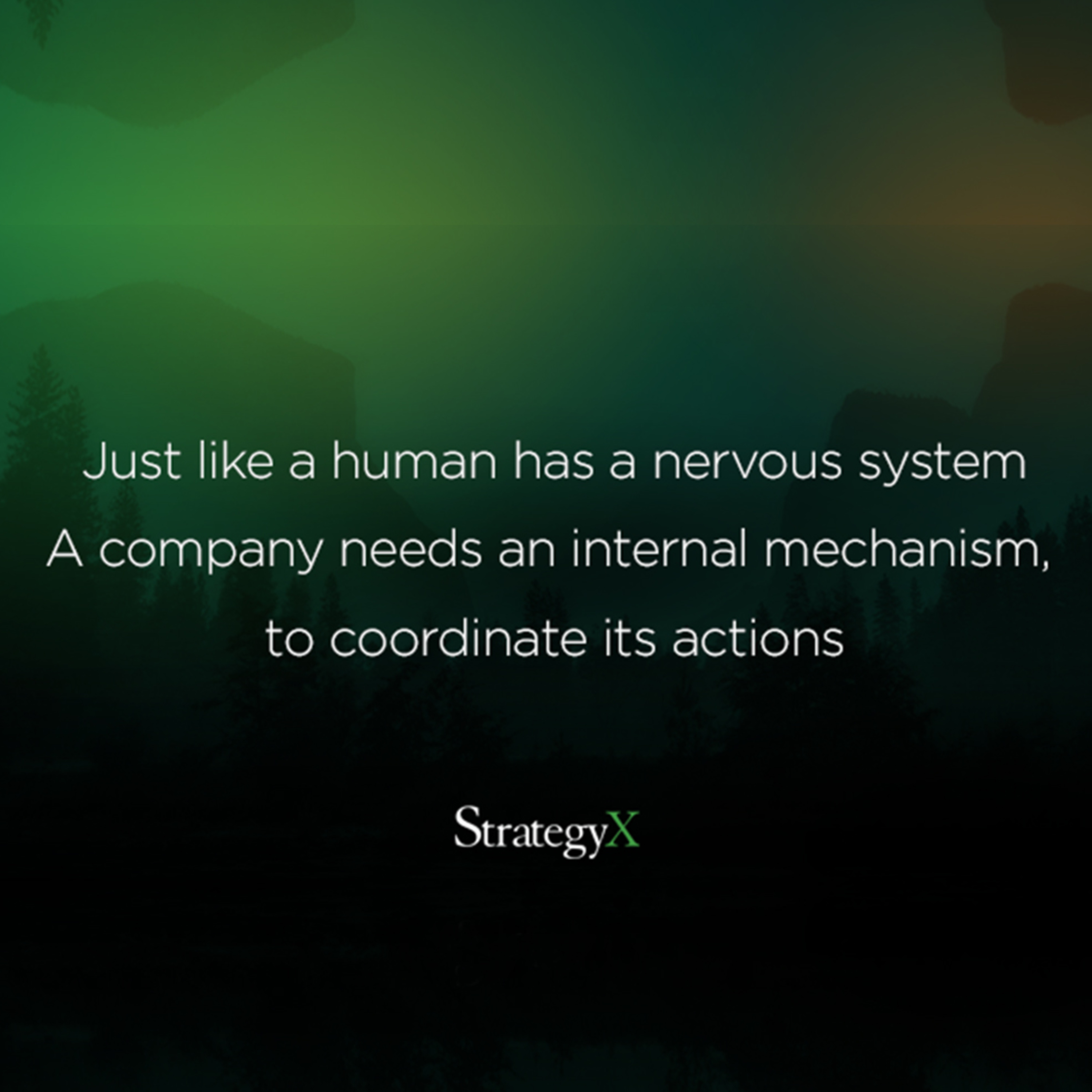 Strategy Execution