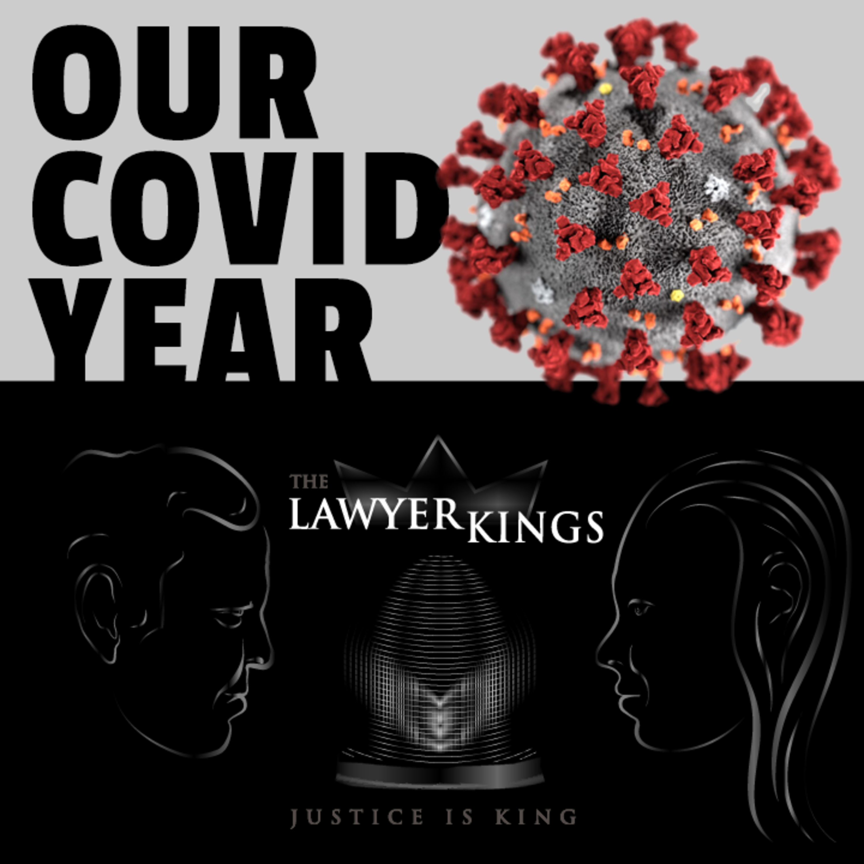 The Lawyer Kings