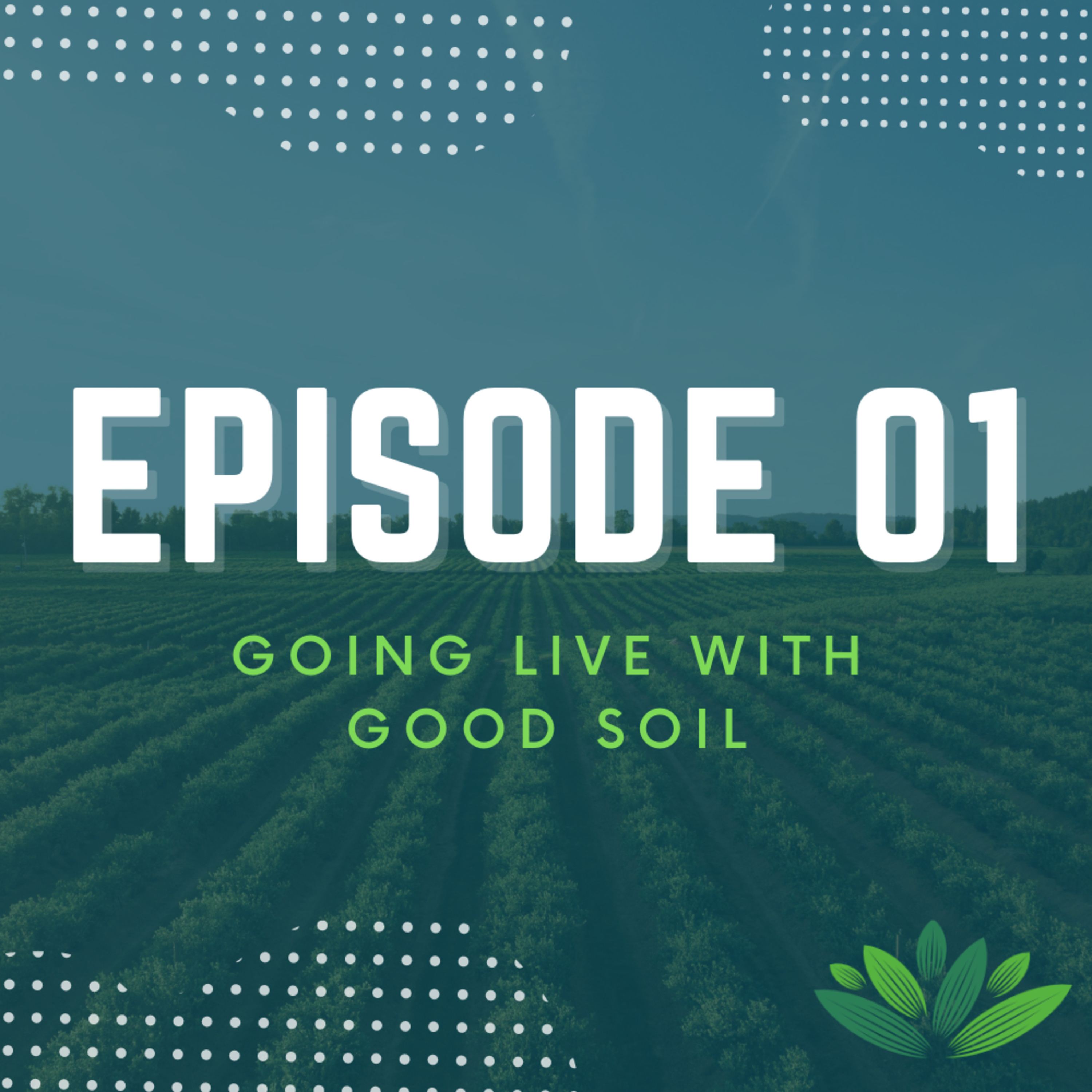 Going Live With Good Soil