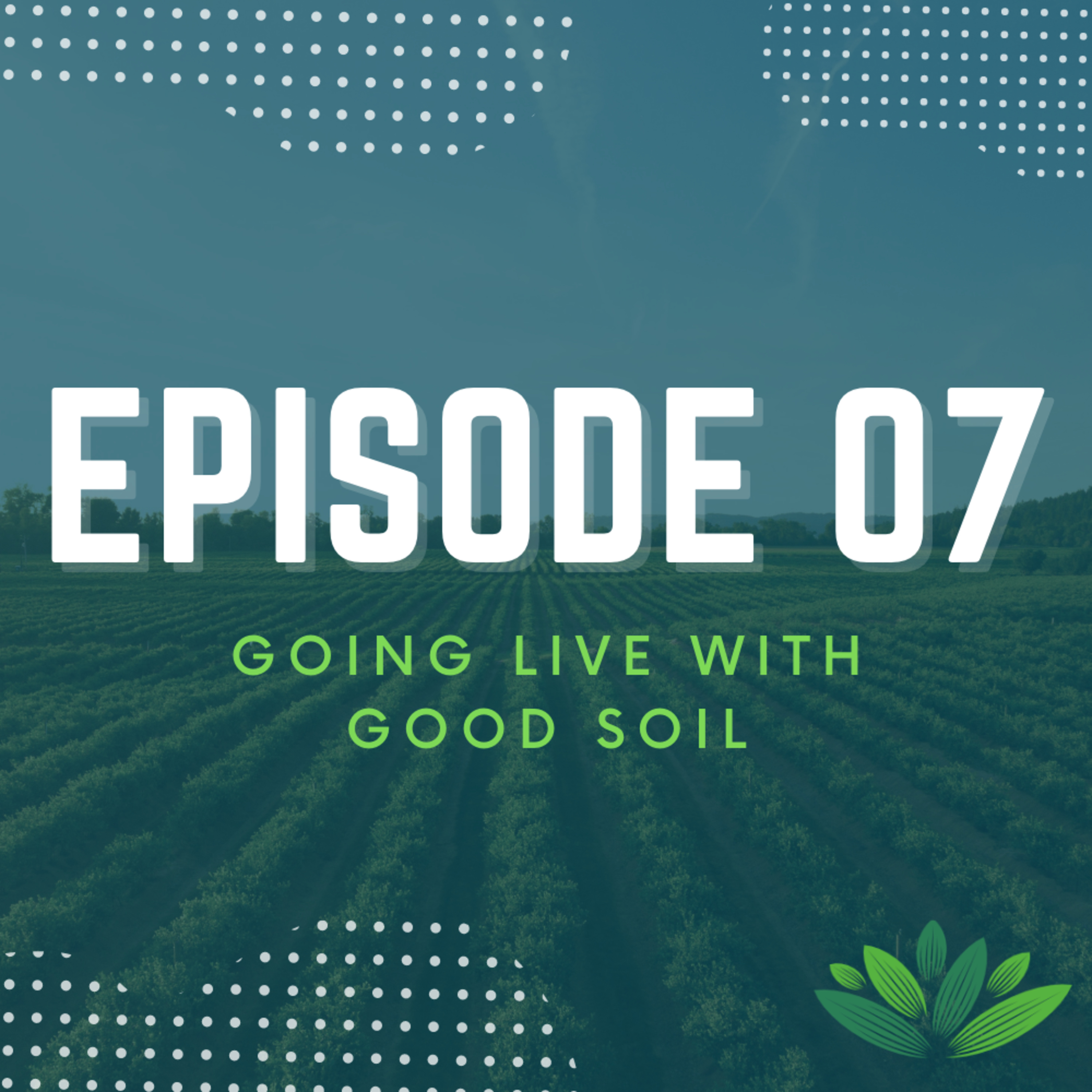 Going Live With Good Soil