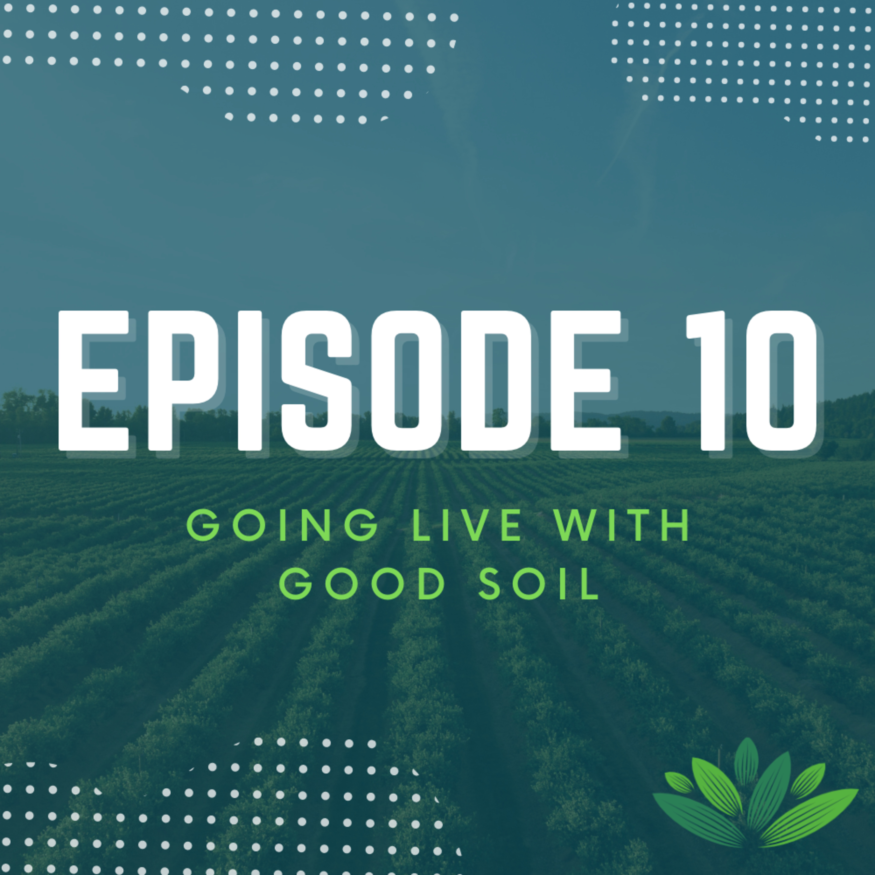 Going Live With Good Soil